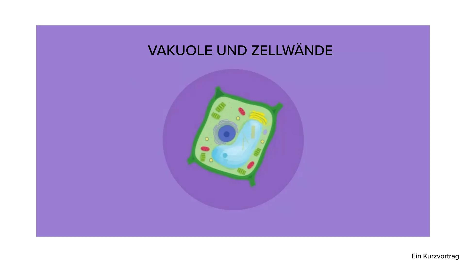 VAKUOLE UND ZELLWÄNDE
TETH
Ein Kurzvortrag ●
VAKUOLE
Bildung & Funktion
Aufbau
●
INHALTSVERZEICHNIS
●
ZELLWÄNDE
Bildung, Funktion & Arten
Au