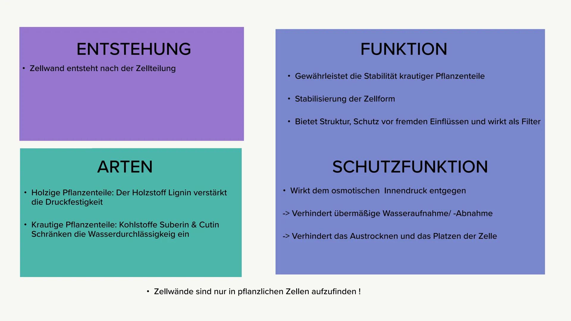 VAKUOLE UND ZELLWÄNDE
TETH
Ein Kurzvortrag ●
VAKUOLE
Bildung & Funktion
Aufbau
●
INHALTSVERZEICHNIS
●
ZELLWÄNDE
Bildung, Funktion & Arten
Au