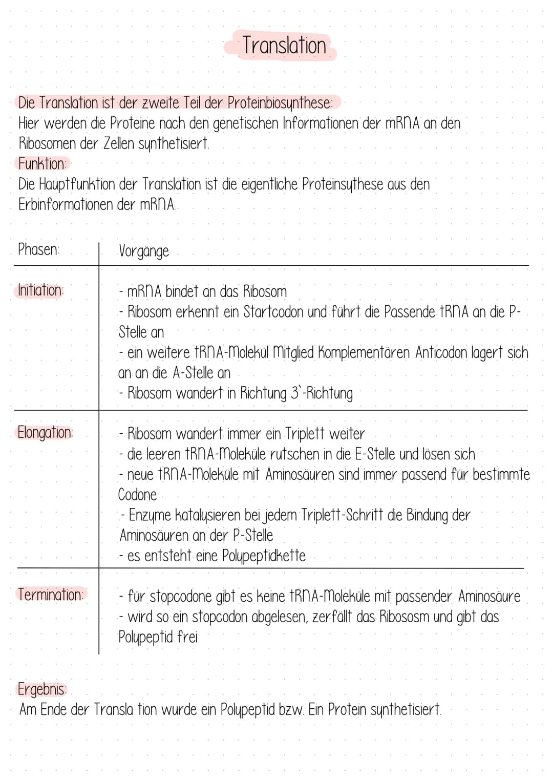 Die Translation ist der zweite Teil der Proteinbiosynthese:
Hier werden die Proteine nach den genetischen Informationen der mRNA an den
Ribo