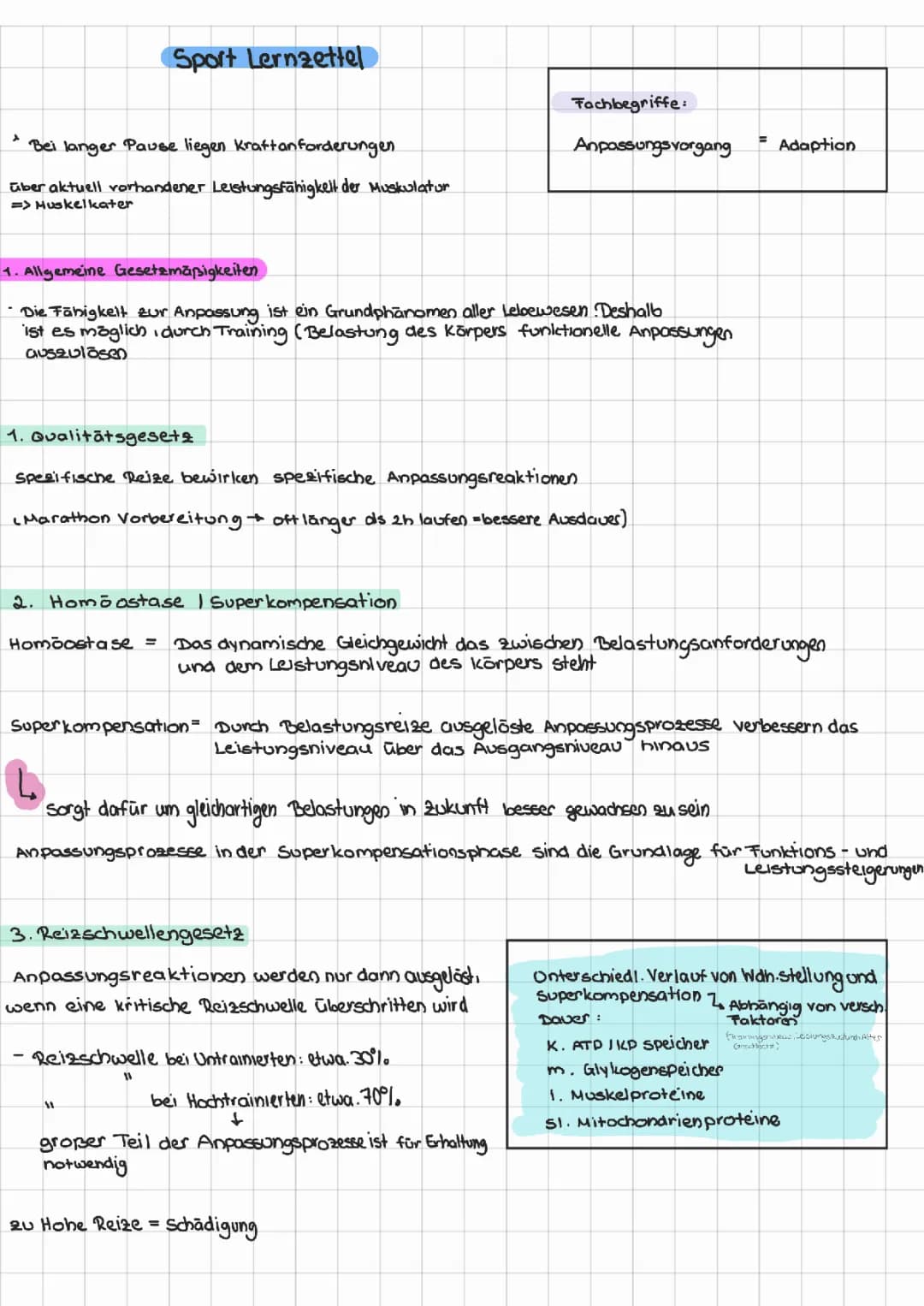 Theorie Gesetzmäßigkeiten und Trainingsprinzipien 