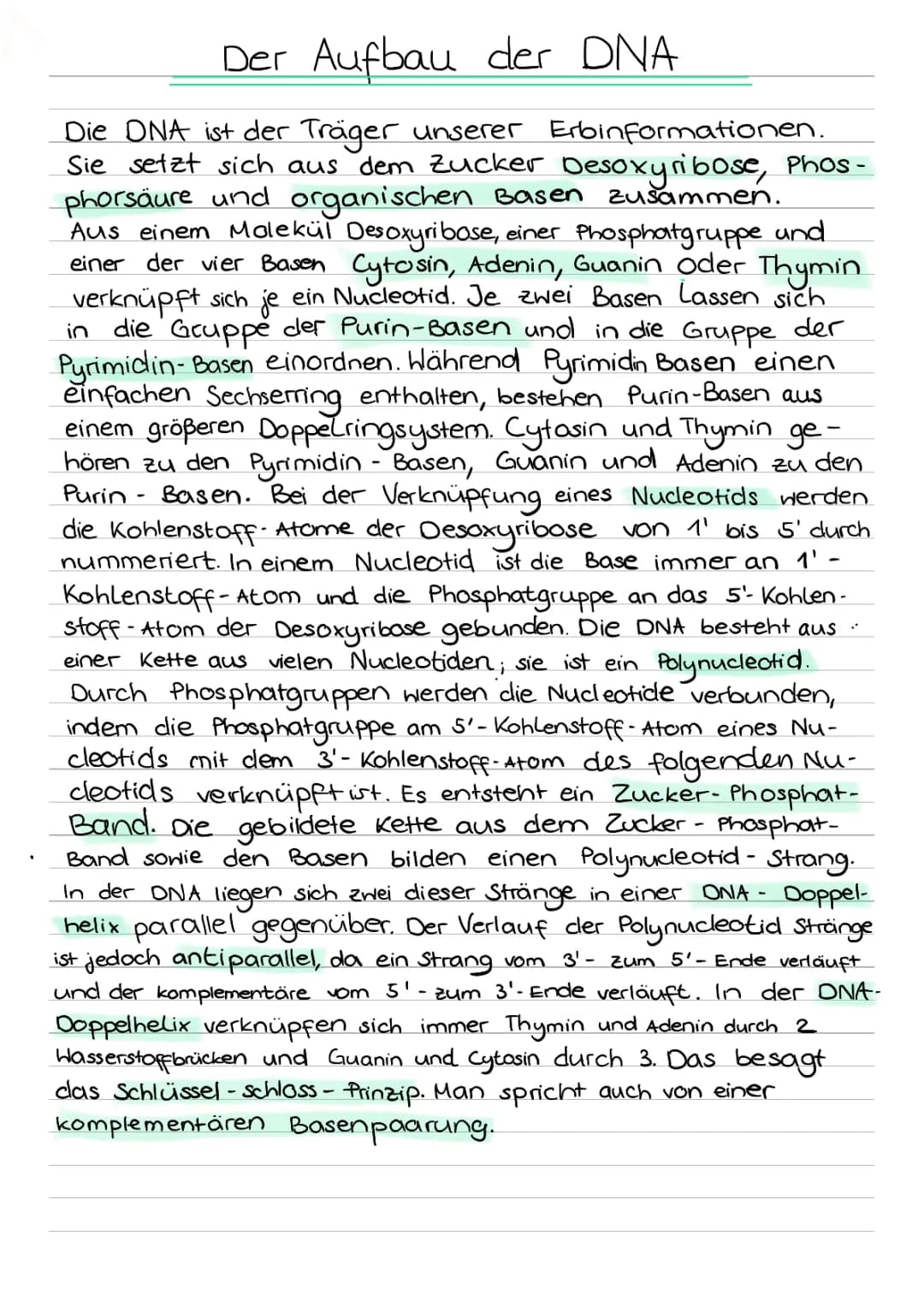 Molekularer Aufbau der DNA Text Zusammenfassung 