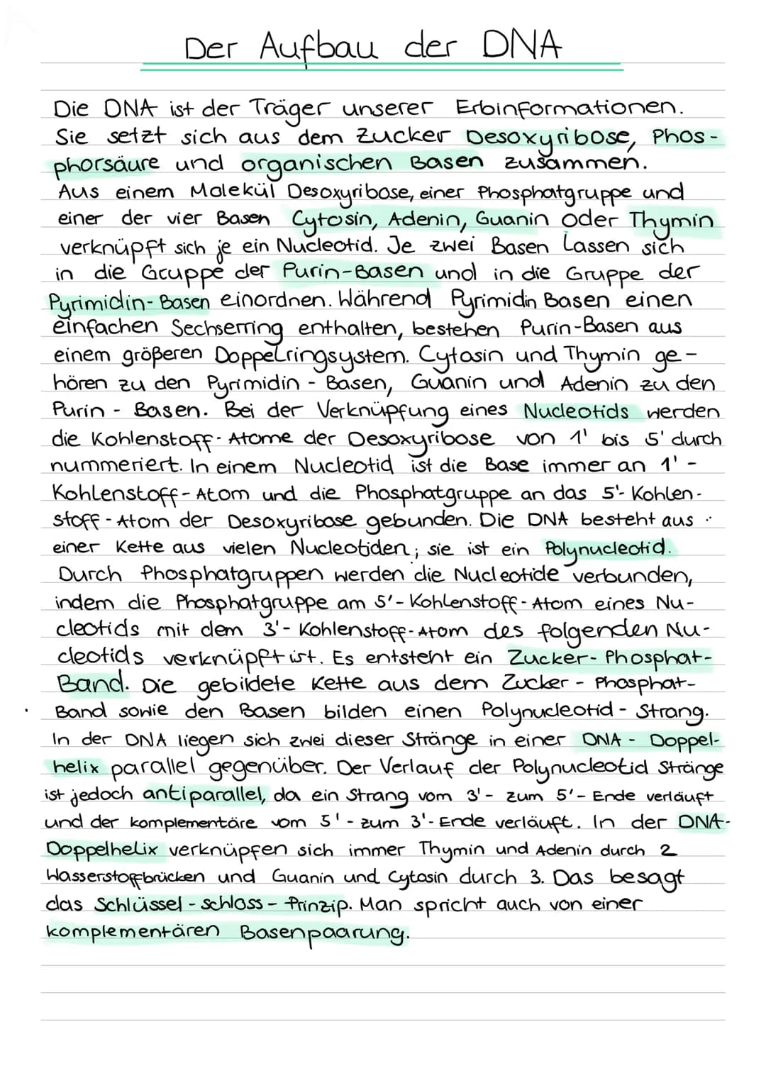 Der Aufbau der DNA
zusammen.
Die DNA ist der Träger unserer Erbinformationen.
Sie setzt sich aus dem Zucker Desoxyribose, Phos-
phorsäure un