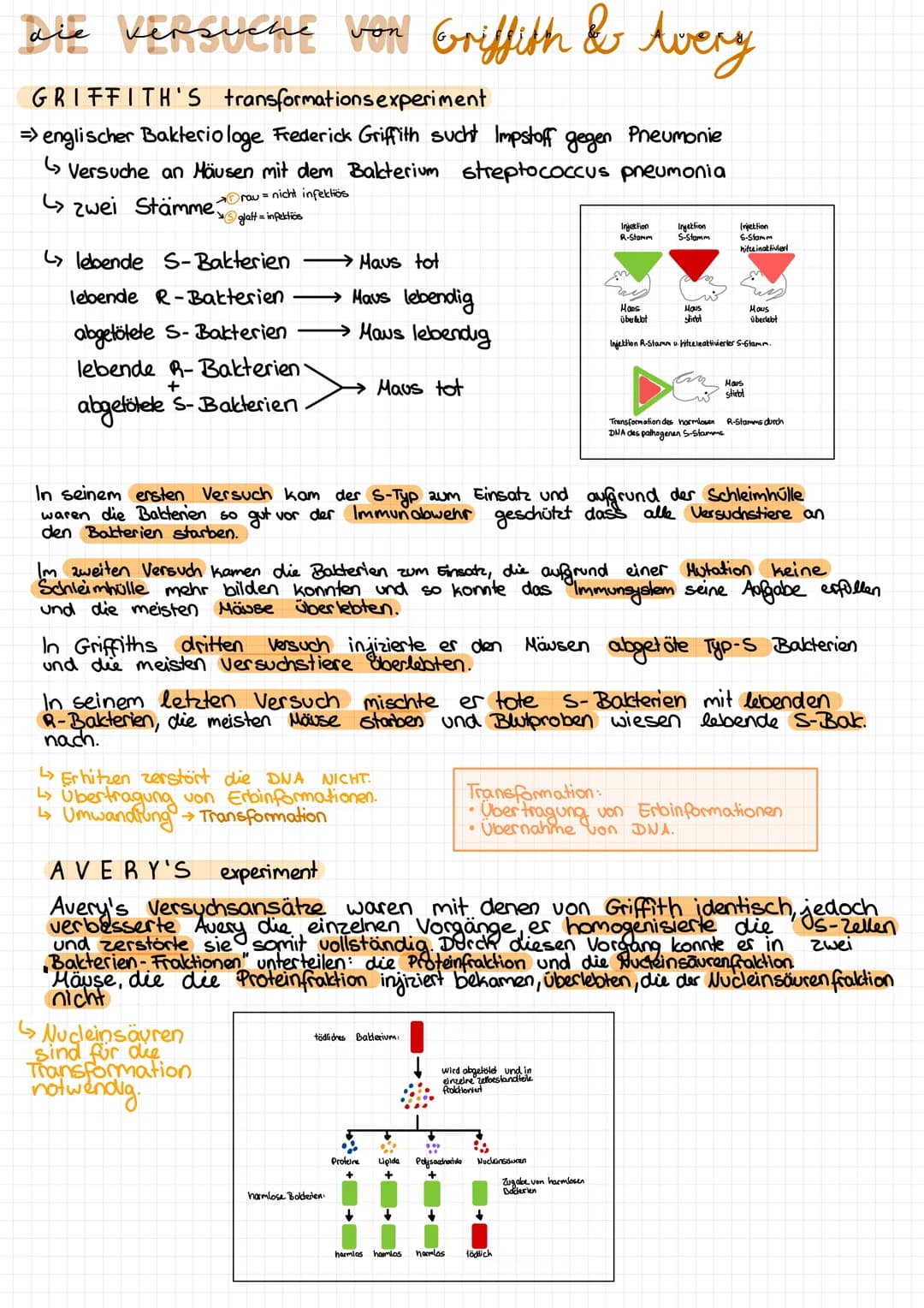 Die Versuche von Griffith & Avery
منه
GRIFFITH'S transformations experiment
=> englischer Bakteriologe Frederick Griffith sucht Impstoff geg