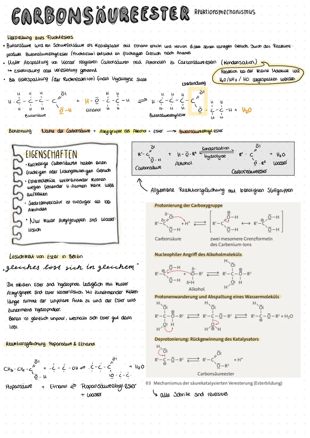 # CARBONSÄUREESTER Reaktionsmechanismus

Herstellung eines Fruchtesters
*   Butansäure wird mit Schwefelsäure als Katalysator mit Ethand erh