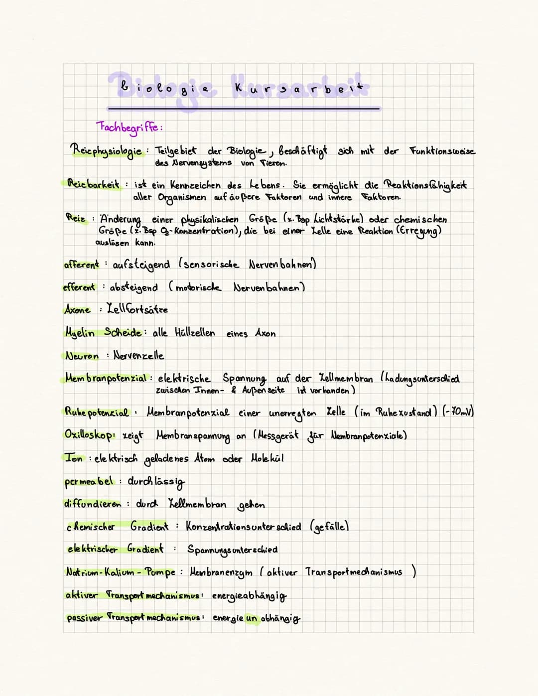 biologie Kursa rbeit
Fachbegriffe:
Reie physiologie Teilgebiet der Biologie, beschäftigt sich mit der Funktionsweise
des Nervensystems von T