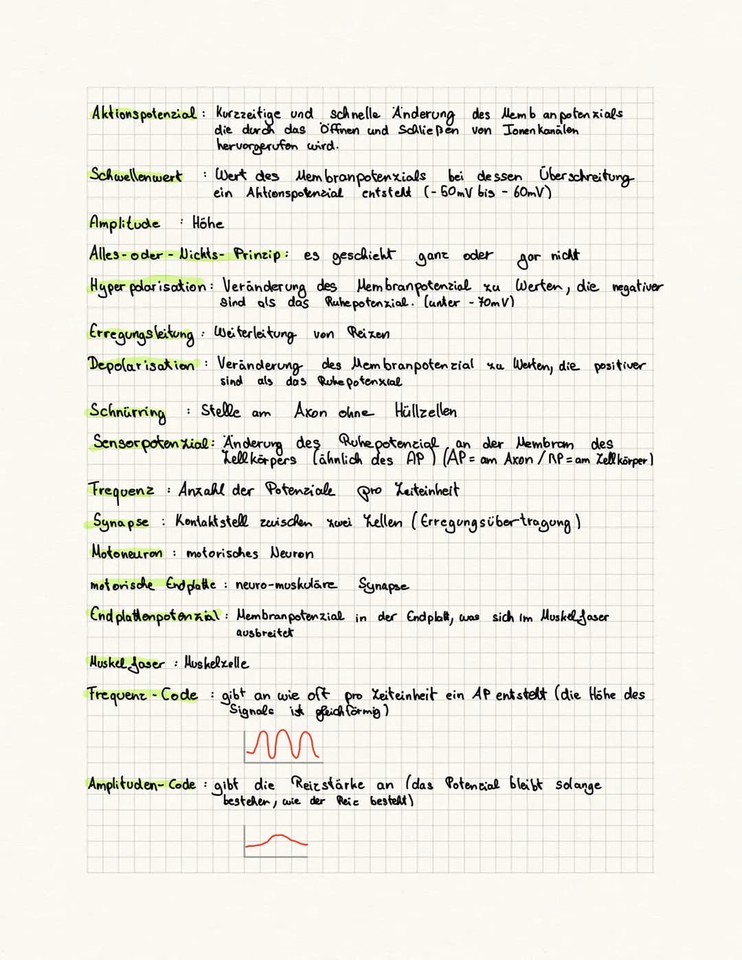 biologie Kursa rbeit
Fachbegriffe:
Reie physiologie Teilgebiet der Biologie, beschäftigt sich mit der Funktionsweise
des Nervensystems von T