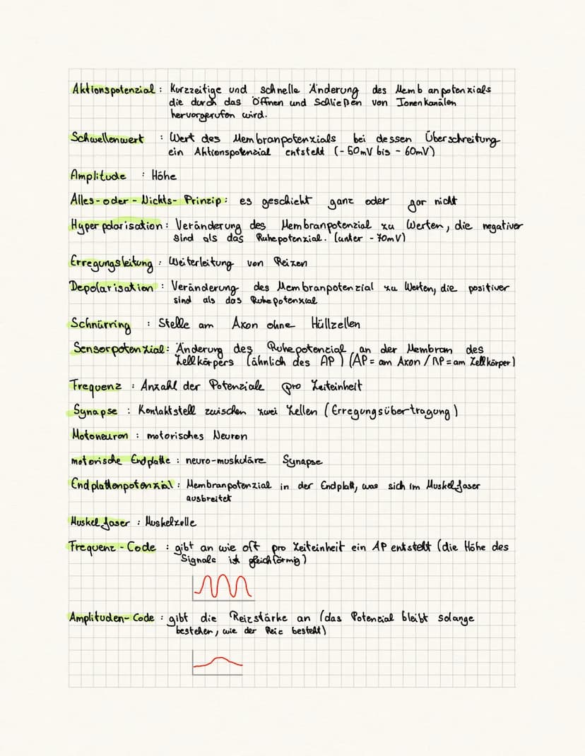 biologie Kursa rbeit
Fachbegriffe:
Reie physiologie Teilgebiet der Biologie, beschäftigt sich mit der Funktionsweise
des Nervensystems von T