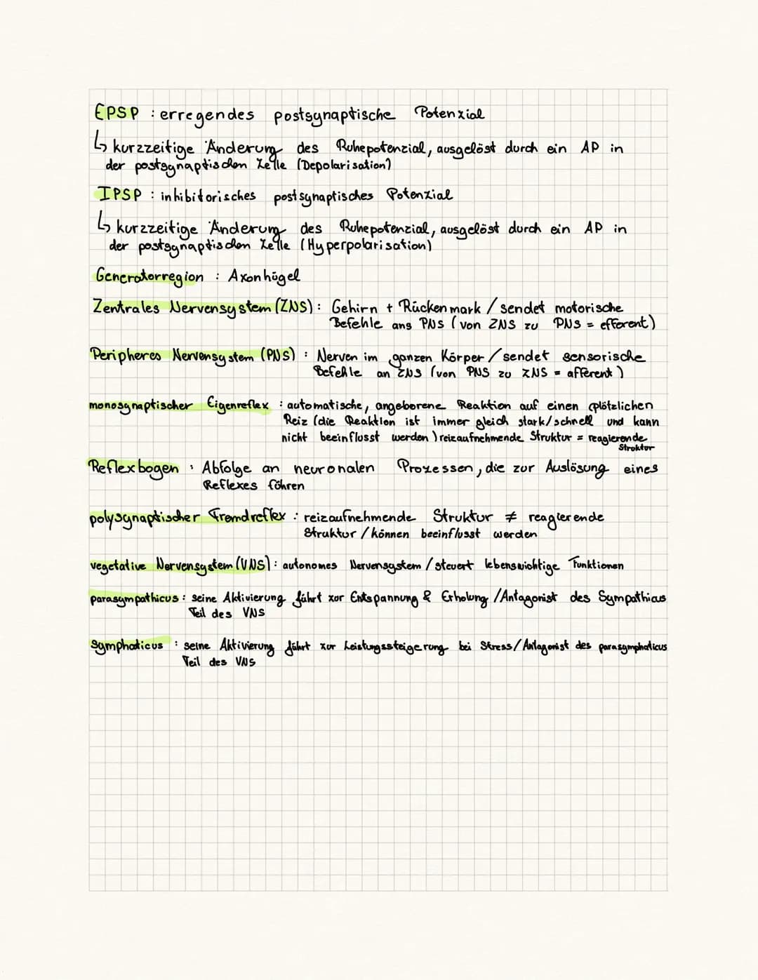 biologie Kursa rbeit
Fachbegriffe:
Reie physiologie Teilgebiet der Biologie, beschäftigt sich mit der Funktionsweise
des Nervensystems von T
