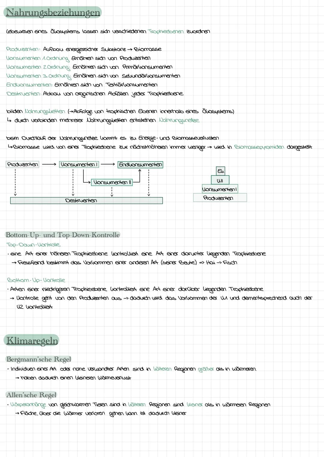 Nahrungsbeziehungen
Lebewesen eines Okosystems lassen sich verschiedenen Trophieebenen zuordnen
Produzenten: Aufbau energiereicher Substanz 