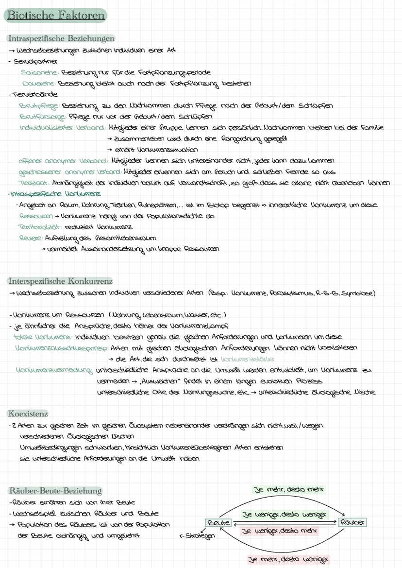 Nahrungsbeziehungen
Lebewesen eines Okosystems lassen sich verschiedenen Trophieebenen zuordnen
Produzenten: Aufbau energiereicher Substanz 