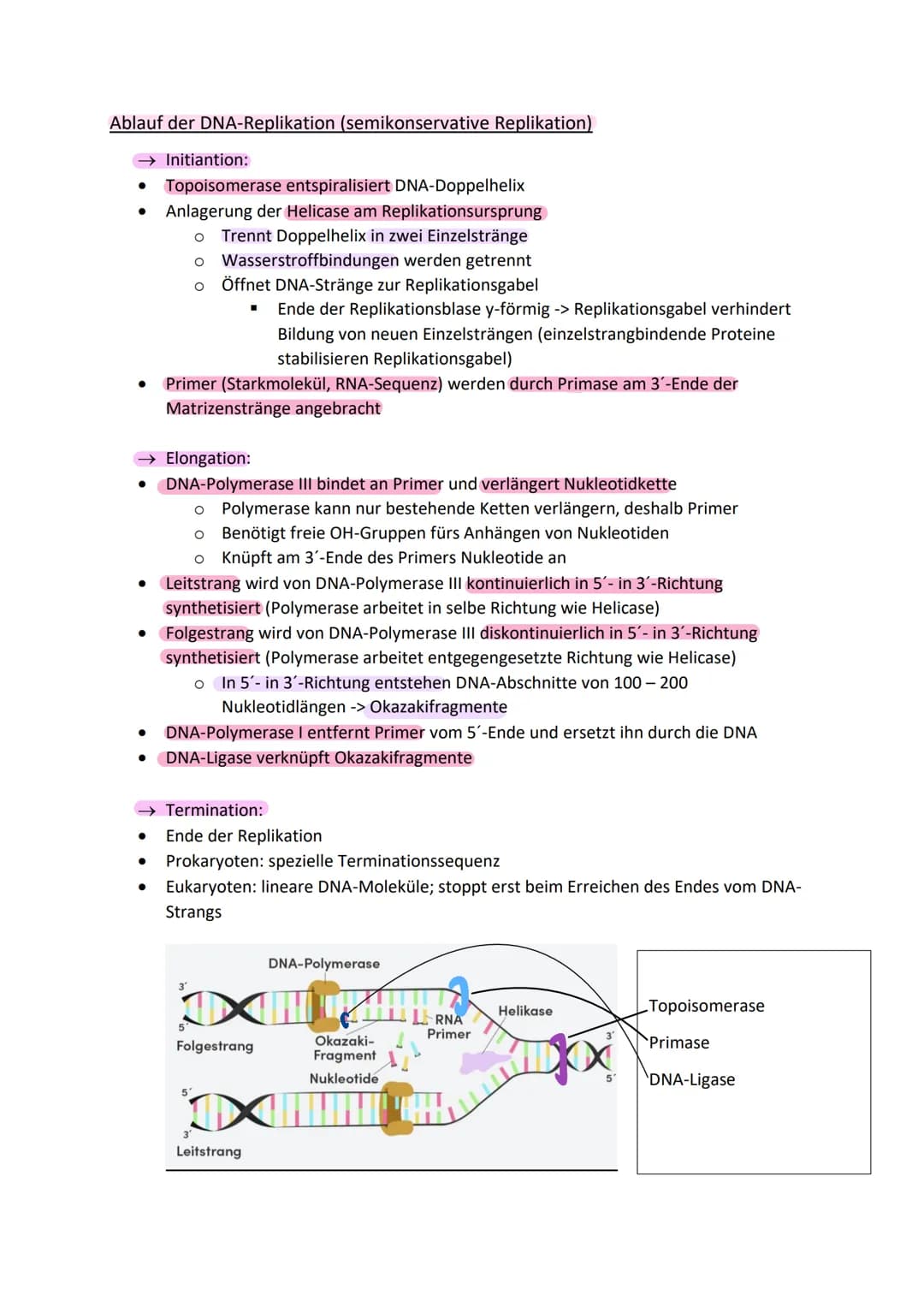 Aufbau der DNA (Watson-Crick-Model)
zwei gegenüberliegende, komplementäre (antiparallele) Polynukleotidstränge
(Doppelhelix)
• Nukleotid: De