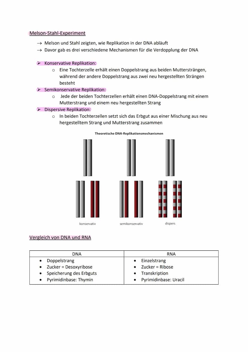 Aufbau der DNA (Watson-Crick-Model)
zwei gegenüberliegende, komplementäre (antiparallele) Polynukleotidstränge
(Doppelhelix)
• Nukleotid: De