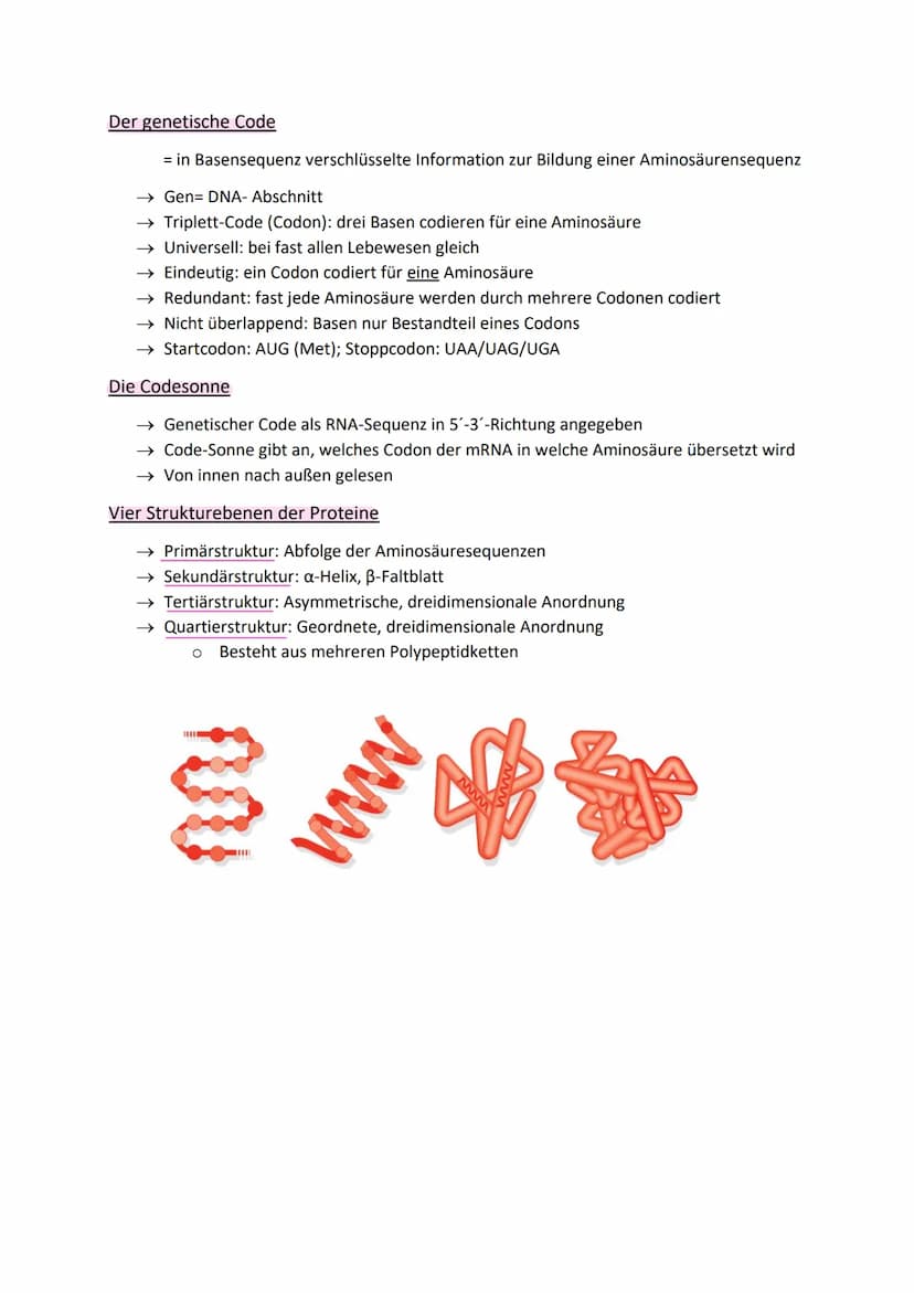 Aufbau der DNA (Watson-Crick-Model)
zwei gegenüberliegende, komplementäre (antiparallele) Polynukleotidstränge
(Doppelhelix)
• Nukleotid: De