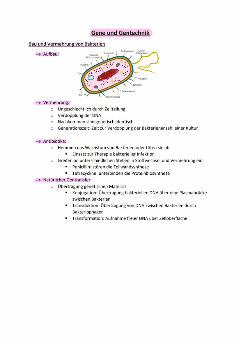 Aufbau der DNA (Watson-Crick-Model)
zwei gegenüberliegende, komplementäre (antiparallele) Polynukleotidstränge
(Doppelhelix)
• Nukleotid: De
