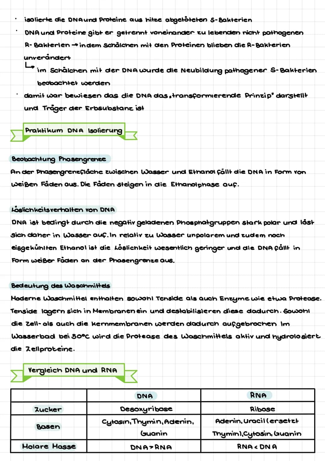 senatu
Def: Teilgebiet der Biologie, welcher sich mit den Gesetzmäßigkeiten der Vererbung
von Merkmalen und mit den grundlegenden Phånomenen