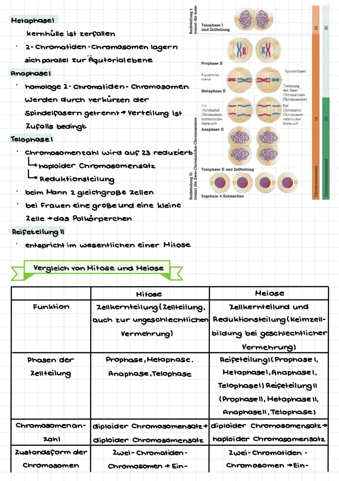 senatu
Def: Teilgebiet der Biologie, welcher sich mit den Gesetzmäßigkeiten der Vererbung
von Merkmalen und mit den grundlegenden Phånomenen