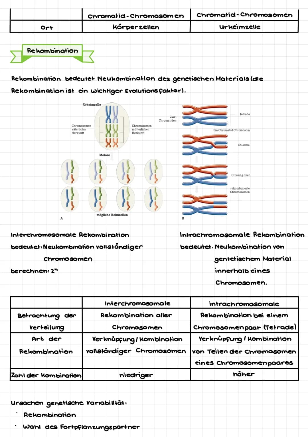 senatu
Def: Teilgebiet der Biologie, welcher sich mit den Gesetzmäßigkeiten der Vererbung
von Merkmalen und mit den grundlegenden Phånomenen