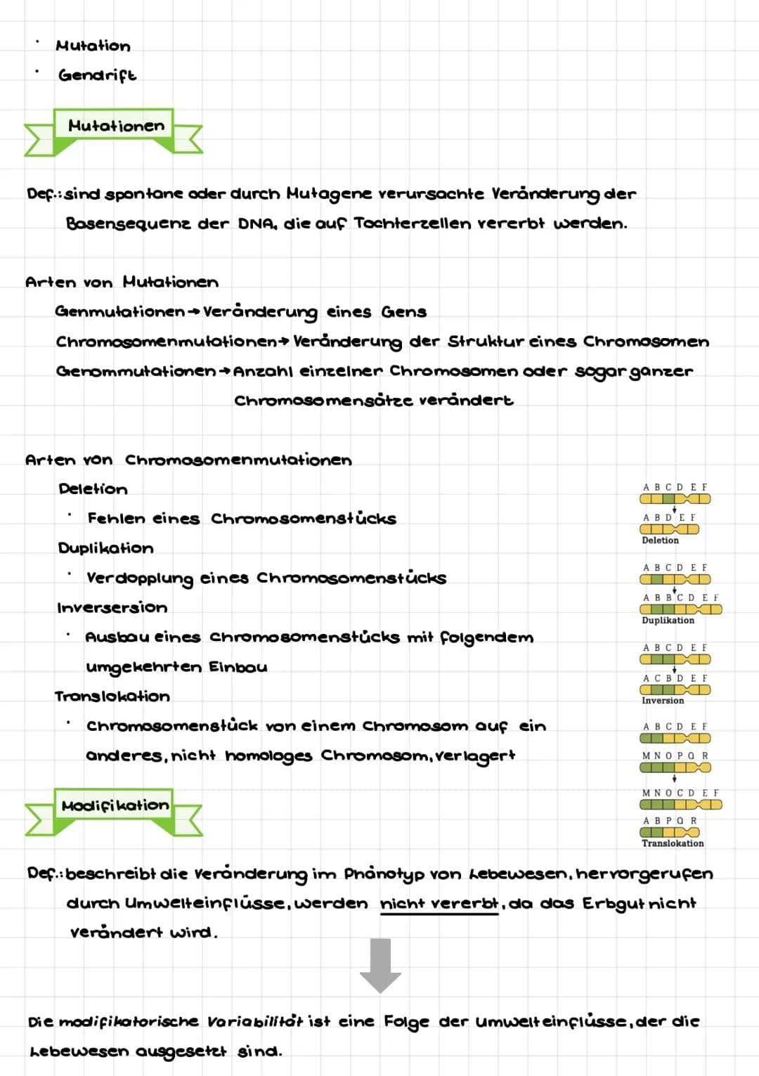 senatu
Def: Teilgebiet der Biologie, welcher sich mit den Gesetzmäßigkeiten der Vererbung
von Merkmalen und mit den grundlegenden Phånomenen