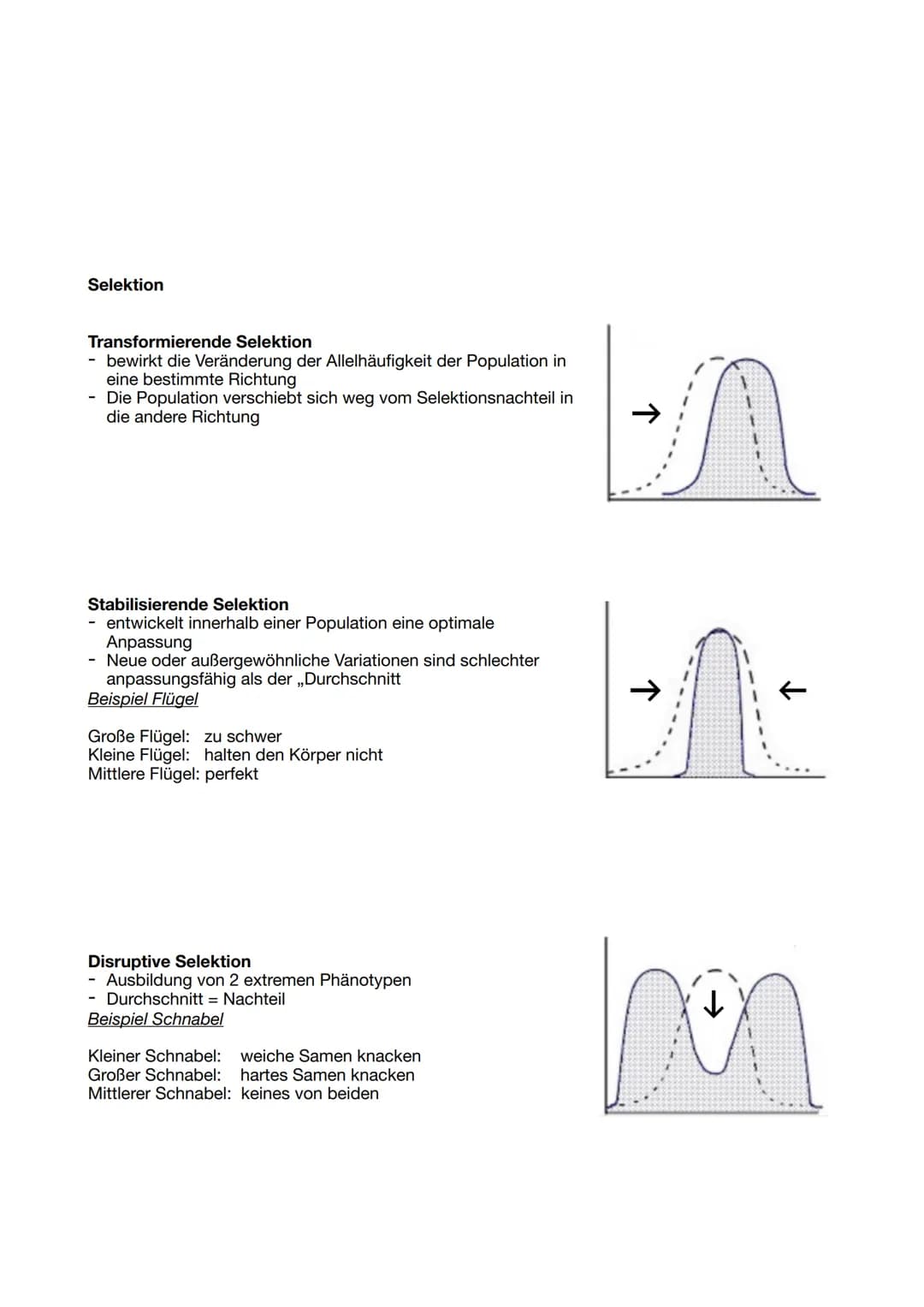 (Entstanden aus dem Grundgedanken Darwins)
Mechanismen der Evolution
Mutation Rekombination Selektion Isolation Gendrift
EVOLUTIONSFAKTOREN
