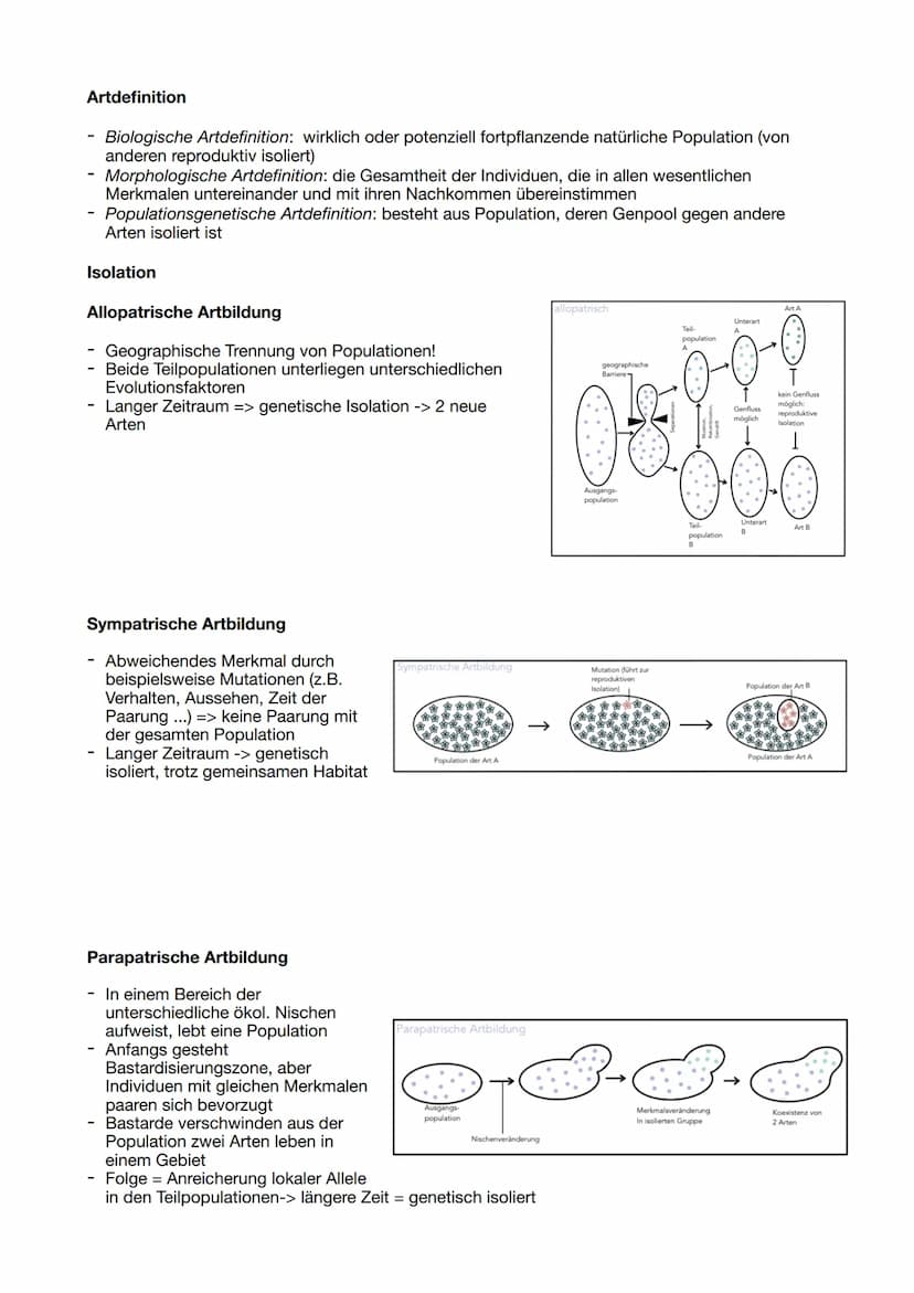 (Entstanden aus dem Grundgedanken Darwins)
Mechanismen der Evolution
Mutation Rekombination Selektion Isolation Gendrift
EVOLUTIONSFAKTOREN

