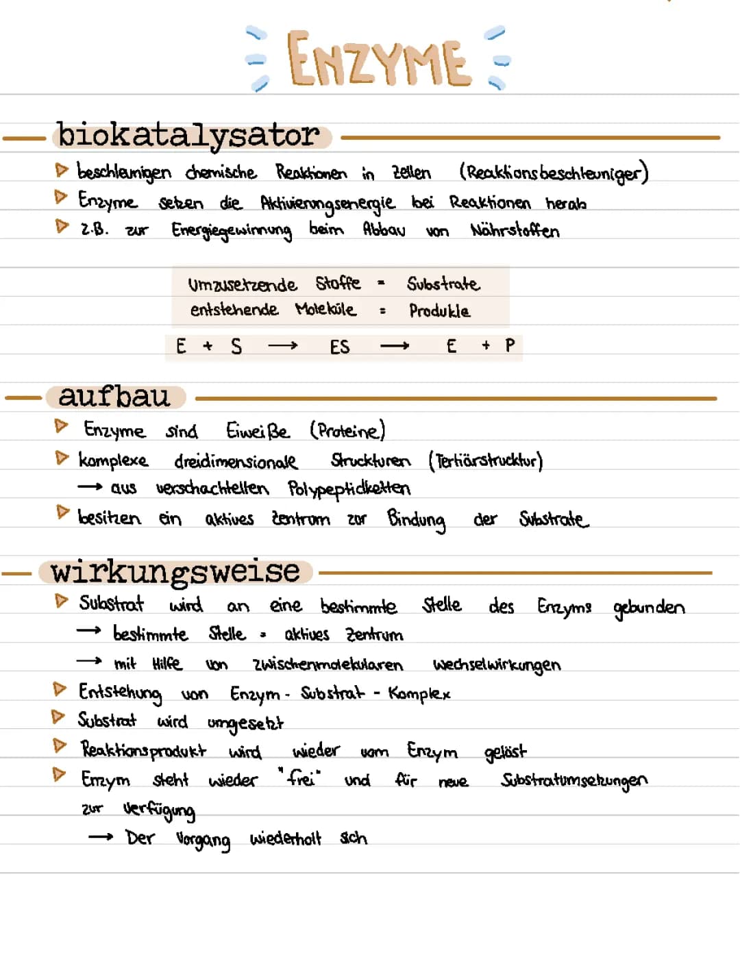 Enzyme Biologie