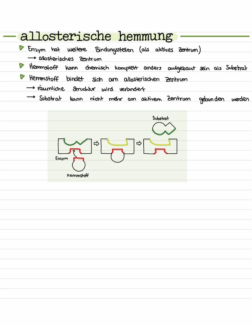 ENZYME
biokatalysator
beschleunigen chemische Reaktionen in Zellen (Reaktionsbeschleuniger)
Enzyme setzen die Aktivierungsenergie bei Reakti