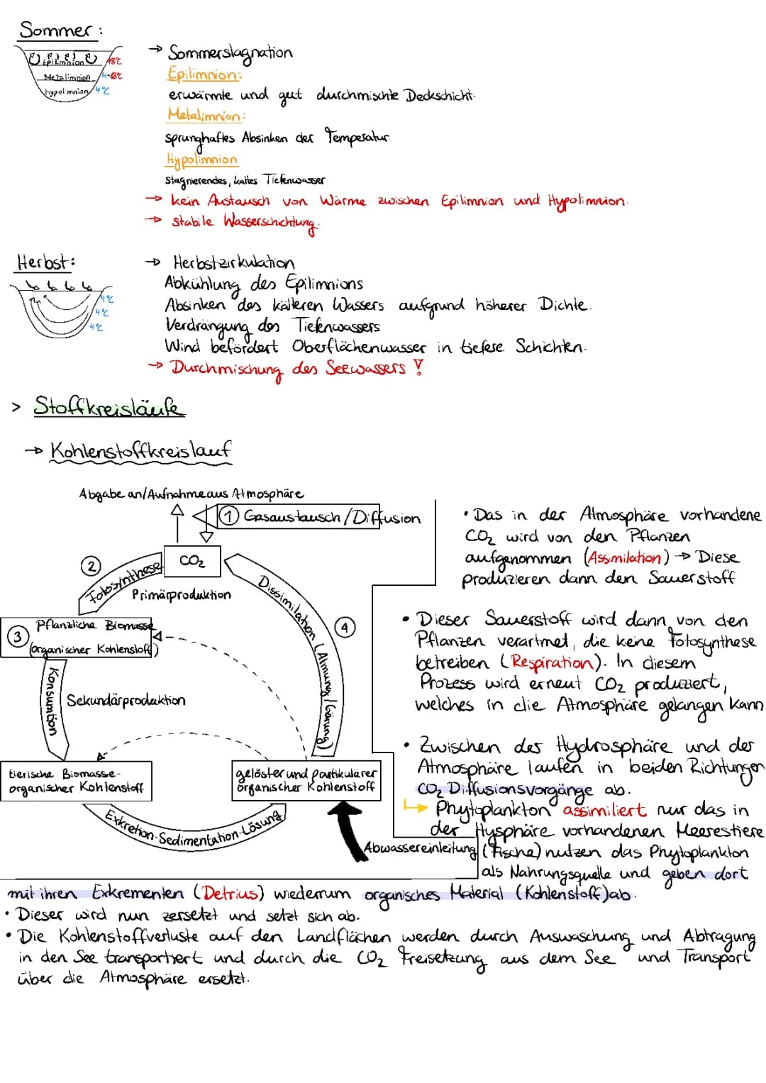 Genetik/ Ökologischer See Zusammenfassung