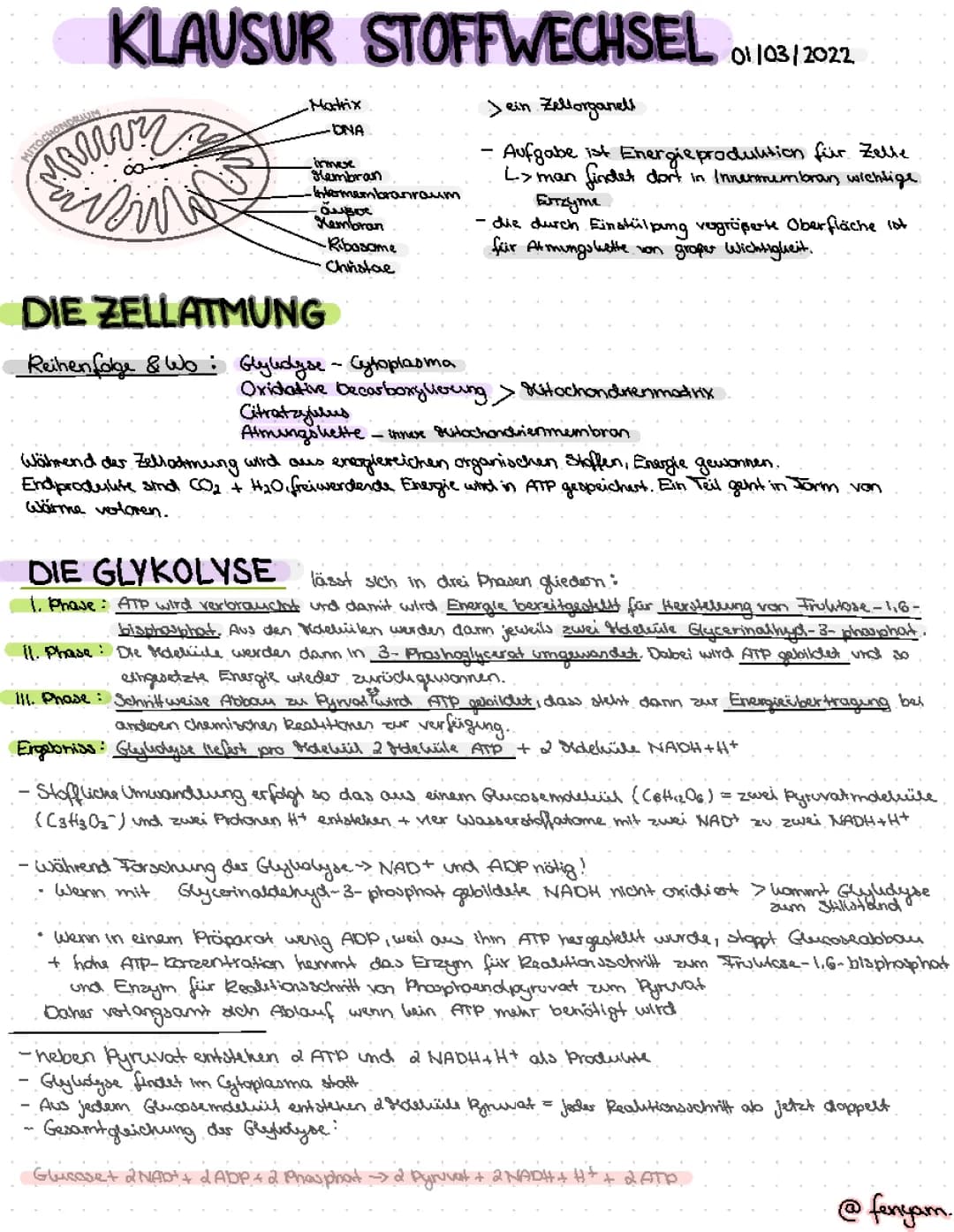 Stoffwechsel / Zellatmung 