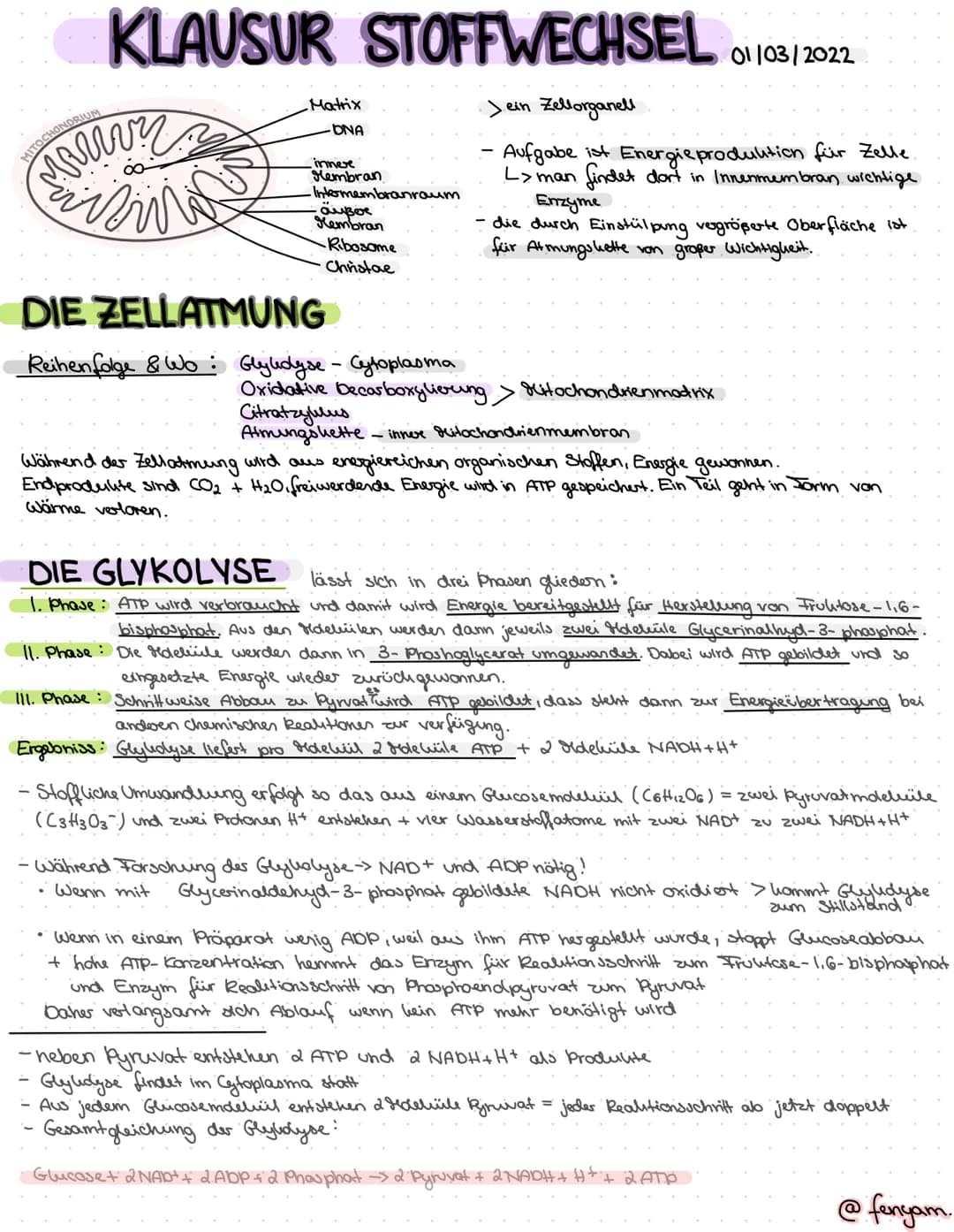KLAUSUR STOFFWECHSEL 01/03/2022
ein Zellorganell
•Aufgabe ist Energie produktion für Zelle.
L> man
findet dort in Innenmembran wichtige
Marr
