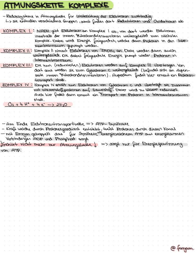 KLAUSUR STOFFWECHSEL 01/03/2022
ein Zellorganell
•Aufgabe ist Energie produktion für Zelle.
L> man
findet dort in Innenmembran wichtige
Marr