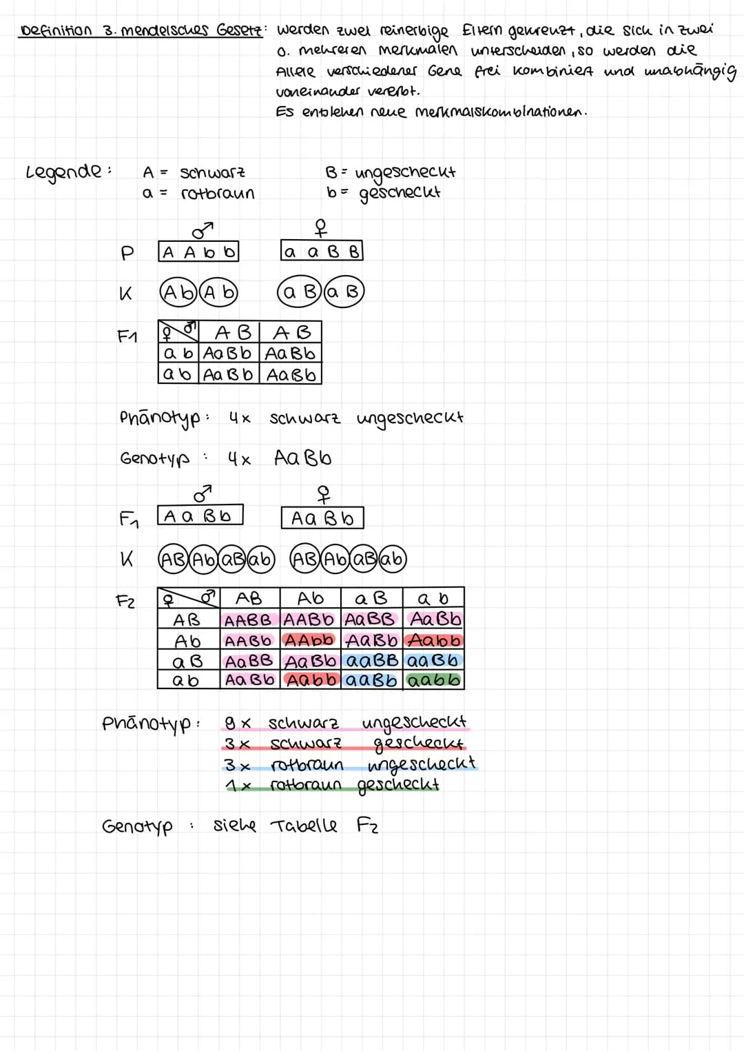 1. mendelsche Regel
Beispiel:
Legende für Erbsenfarbe:
P
K
F₁
G = gelb → dominantes Allel
9 = grün → rezessives Allel
q
G G
66
G
G
X
P
9
G g