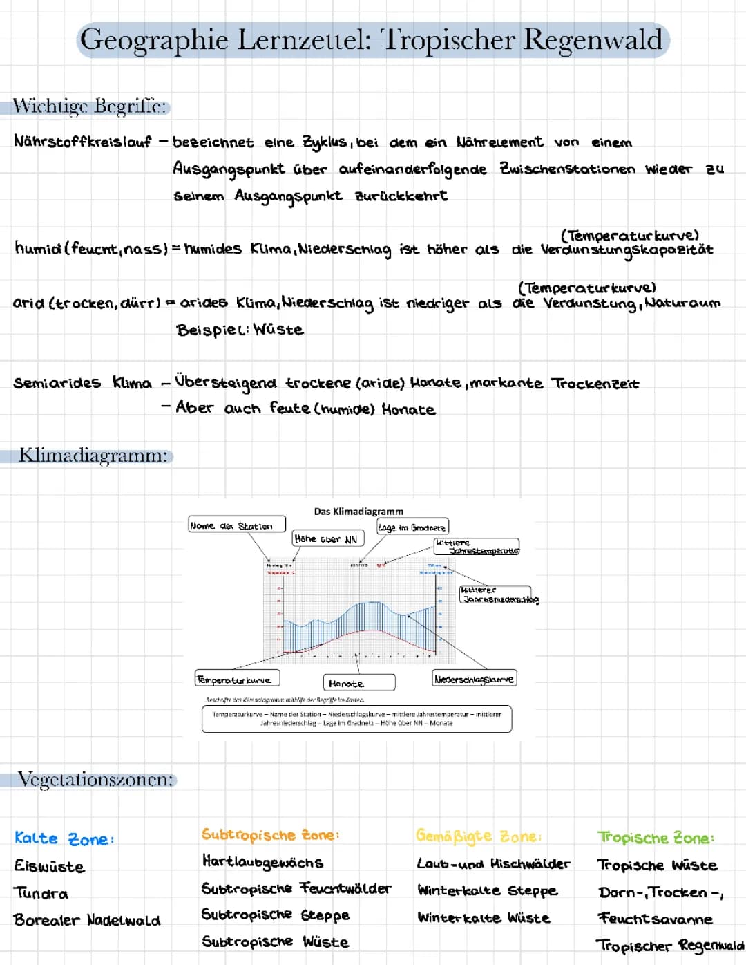Tropischer Regenwald 