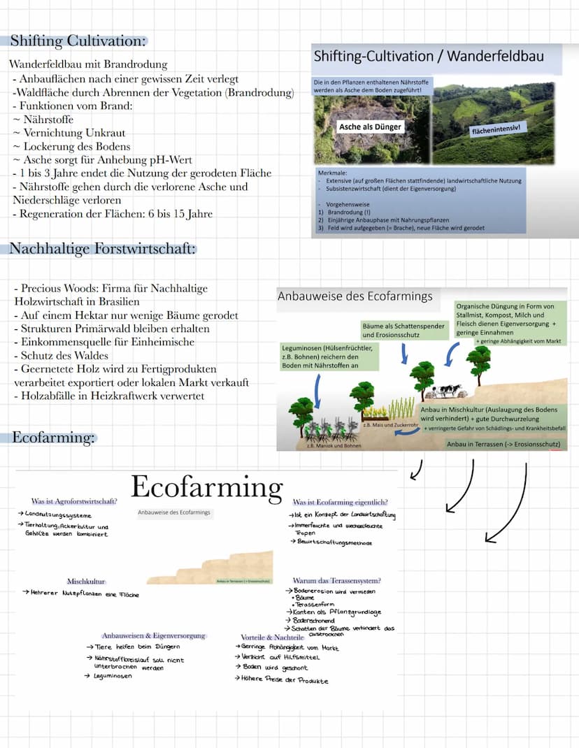 Geographie Lernzettel: Tropischer Regenwald
Wichtige Begriffe:
Nährstoffkreislauf - bezeichnet eine Zyklus, bei dem ein Nährelement von eine