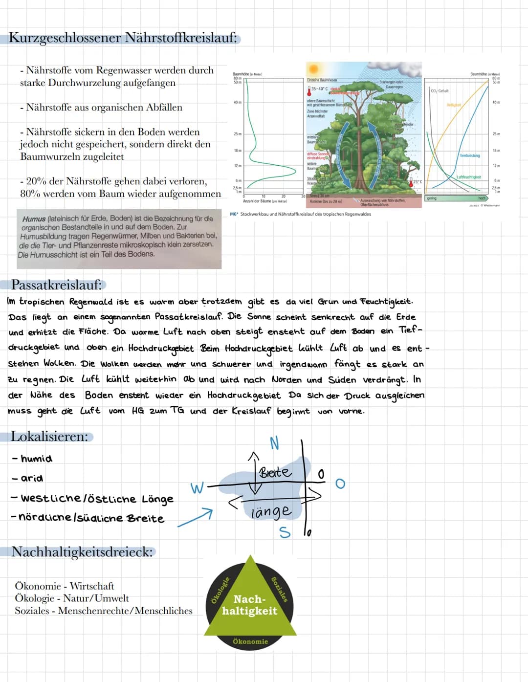 Geographie Lernzettel: Tropischer Regenwald
Wichtige Begriffe:
Nährstoffkreislauf - bezeichnet eine Zyklus, bei dem ein Nährelement von eine