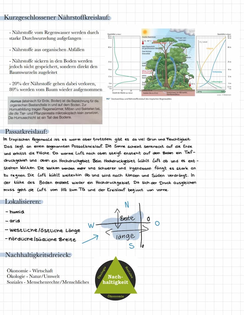 Geographie Lernzettel: Tropischer Regenwald
Wichtige Begriffe:
Nährstoffkreislauf - bezeichnet eine Zyklus, bei dem ein Nährelement von eine