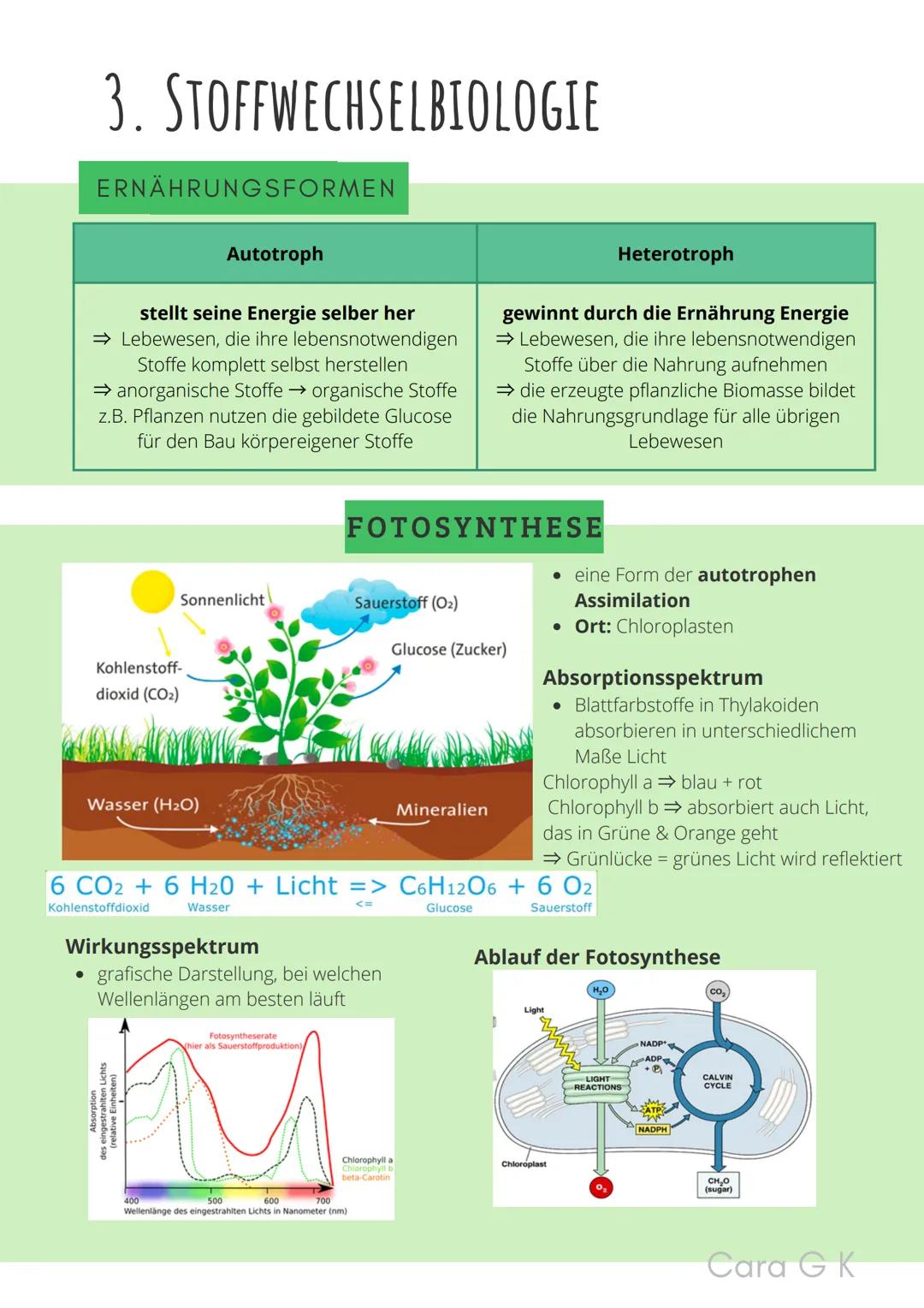 BIO-ABITUR
Zusammenfassung aller Themen
Cara G. K.
es
DA
CO2
02 INHALTSVERZEICHNIS
1. GRUNDWISSEN
• Mitochondrium
• Zellkern (Nucleus)
Chlor