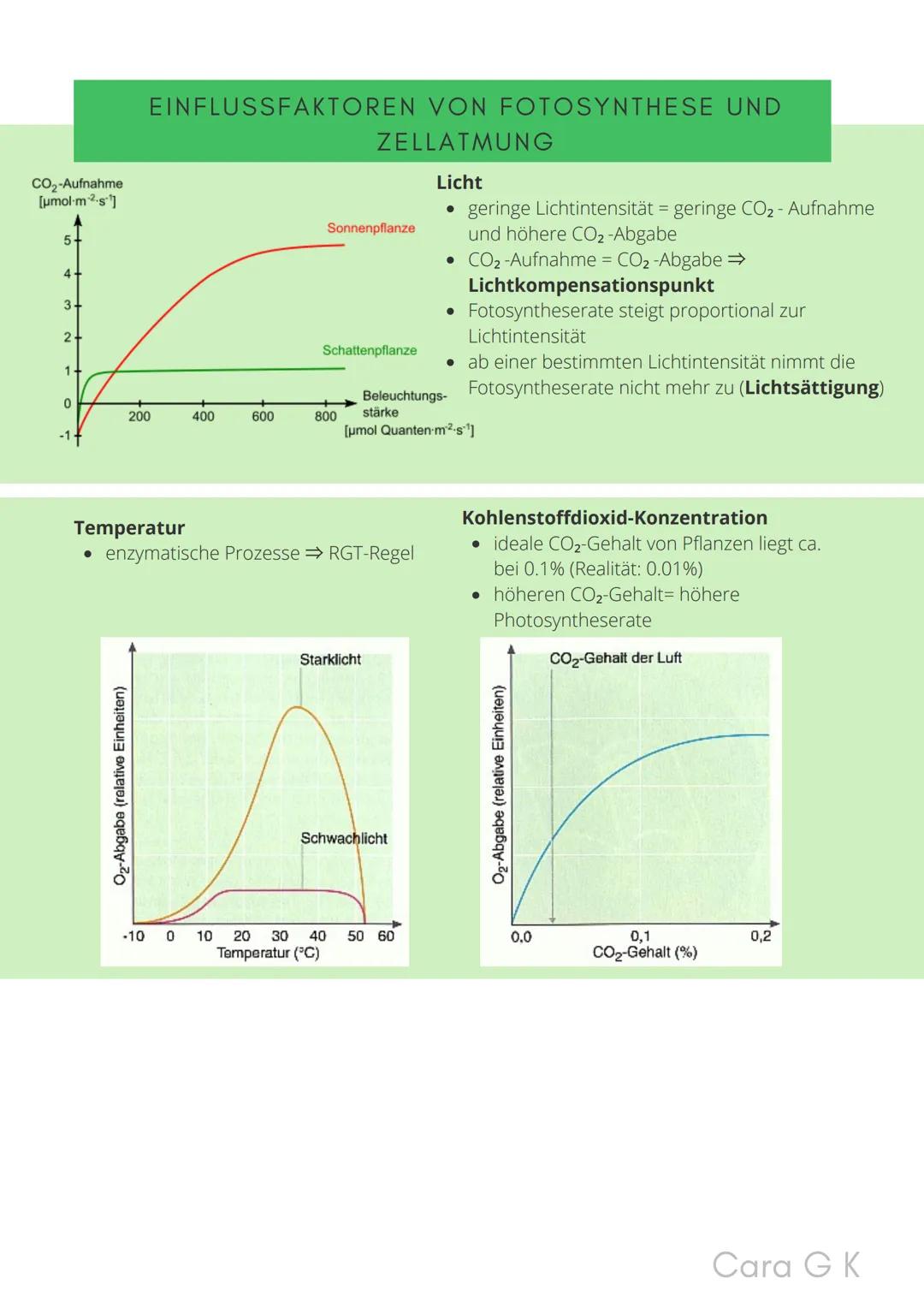 BIO-ABITUR
Zusammenfassung aller Themen
Cara G. K.
es
DA
CO2
02 INHALTSVERZEICHNIS
1. GRUNDWISSEN
• Mitochondrium
• Zellkern (Nucleus)
Chlor