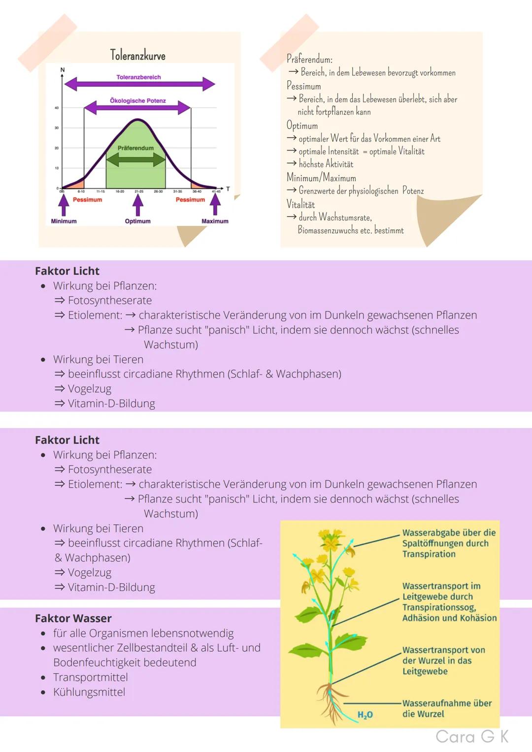 BIO-ABITUR
Zusammenfassung aller Themen
Cara G. K.
es
DA
CO2
02 INHALTSVERZEICHNIS
1. GRUNDWISSEN
• Mitochondrium
• Zellkern (Nucleus)
Chlor