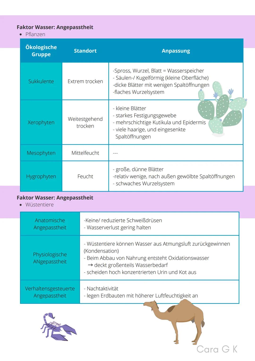 BIO-ABITUR
Zusammenfassung aller Themen
Cara G. K.
es
DA
CO2
02 INHALTSVERZEICHNIS
1. GRUNDWISSEN
• Mitochondrium
• Zellkern (Nucleus)
Chlor