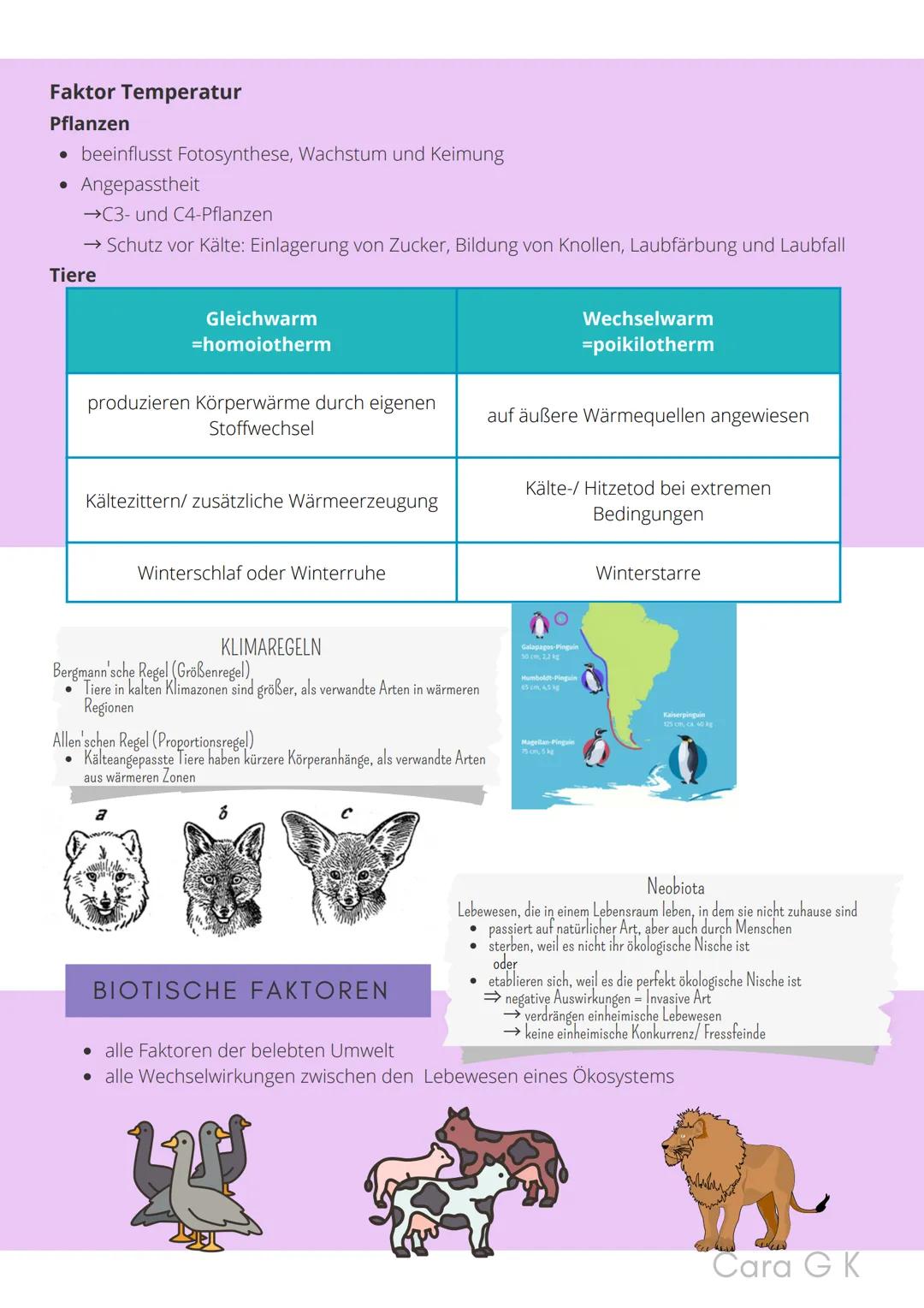 BIO-ABITUR
Zusammenfassung aller Themen
Cara G. K.
es
DA
CO2
02 INHALTSVERZEICHNIS
1. GRUNDWISSEN
• Mitochondrium
• Zellkern (Nucleus)
Chlor