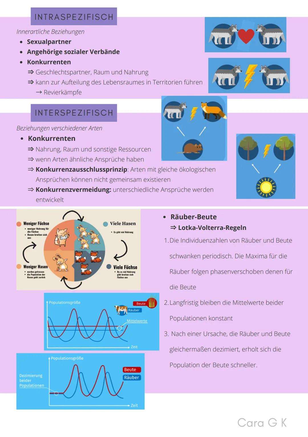 BIO-ABITUR
Zusammenfassung aller Themen
Cara G. K.
es
DA
CO2
02 INHALTSVERZEICHNIS
1. GRUNDWISSEN
• Mitochondrium
• Zellkern (Nucleus)
Chlor