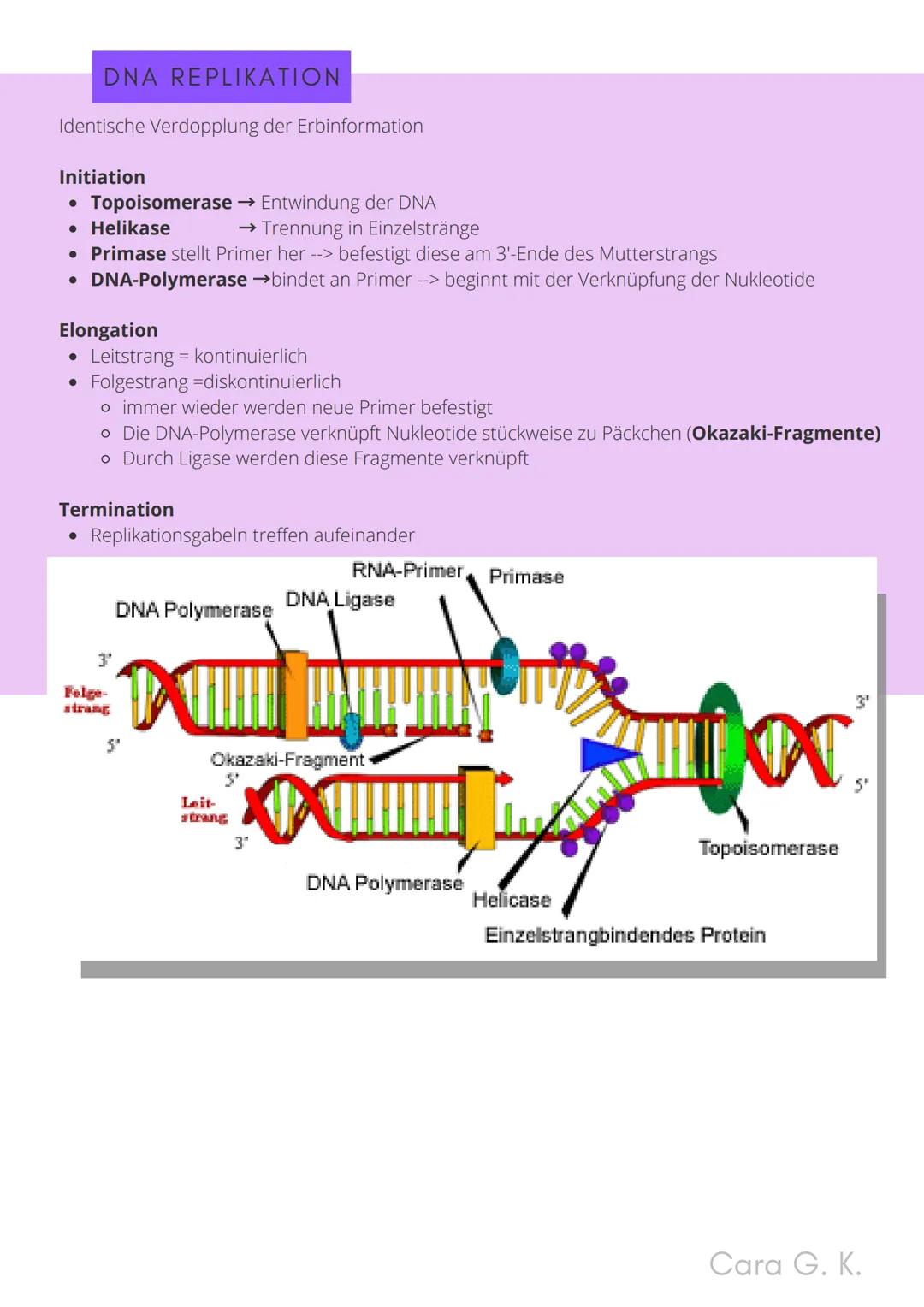 BIO-ABITUR
Zusammenfassung aller Themen
Cara G. K.
es
DA
CO2
02 INHALTSVERZEICHNIS
1. GRUNDWISSEN
• Mitochondrium
• Zellkern (Nucleus)
Chlor