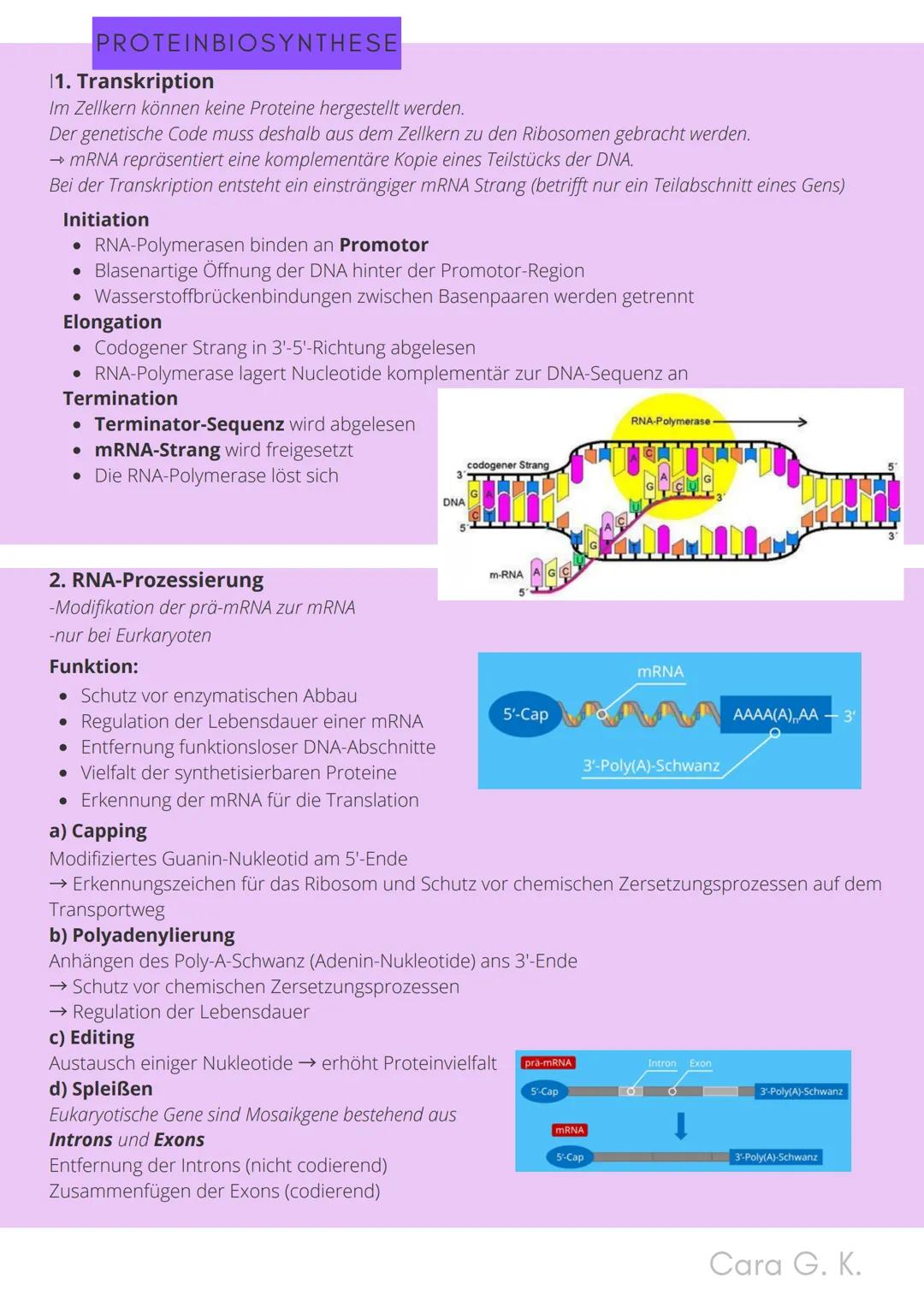 BIO-ABITUR
Zusammenfassung aller Themen
Cara G. K.
es
DA
CO2
02 INHALTSVERZEICHNIS
1. GRUNDWISSEN
• Mitochondrium
• Zellkern (Nucleus)
Chlor