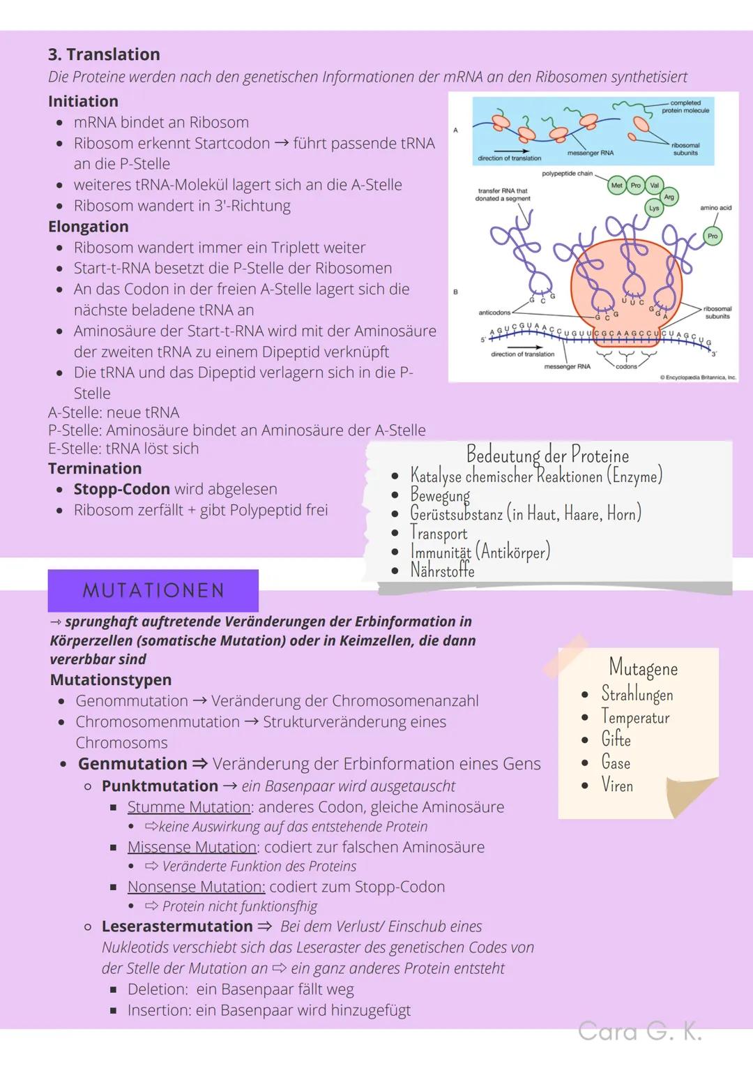 BIO-ABITUR
Zusammenfassung aller Themen
Cara G. K.
es
DA
CO2
02 INHALTSVERZEICHNIS
1. GRUNDWISSEN
• Mitochondrium
• Zellkern (Nucleus)
Chlor