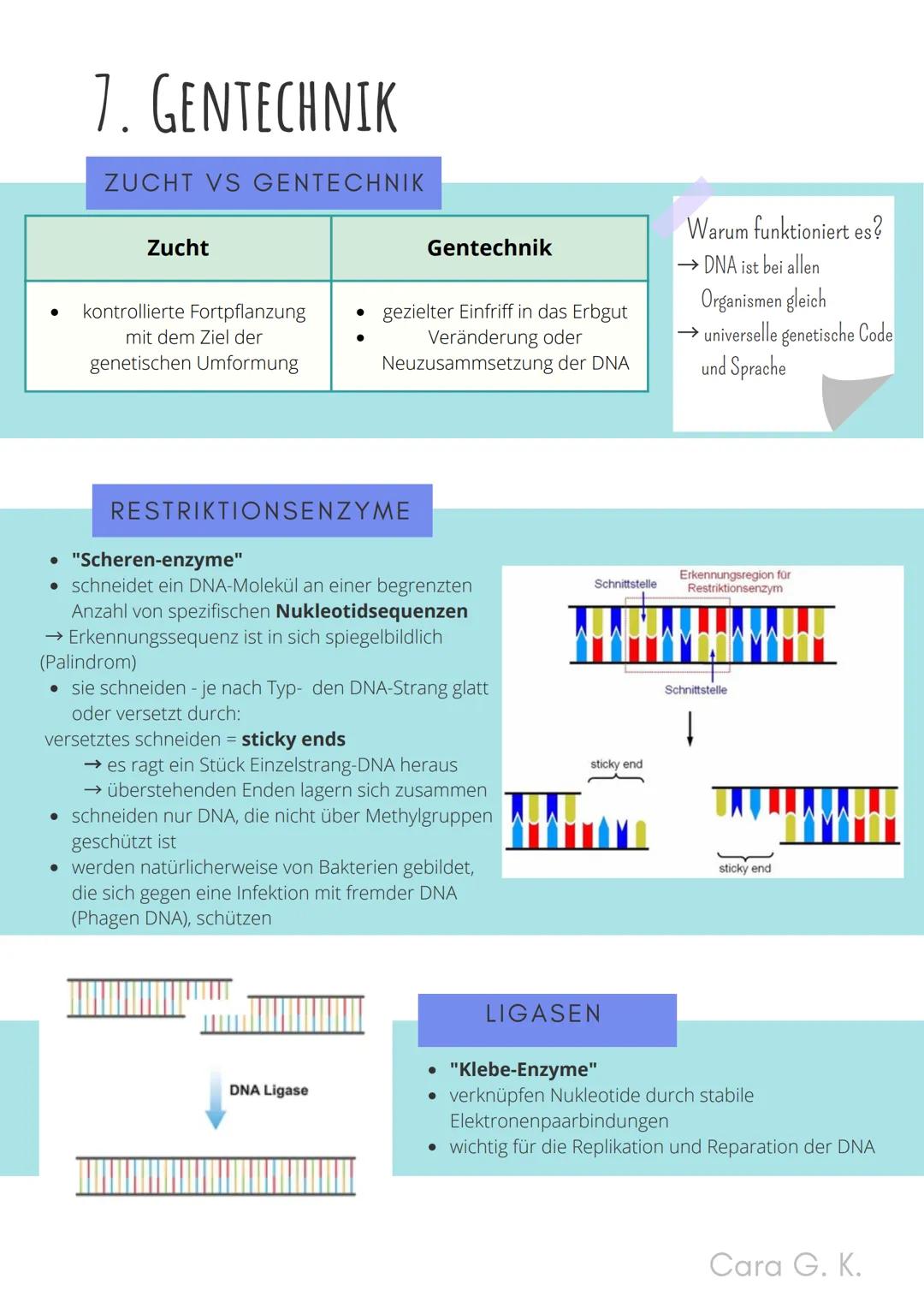 BIO-ABITUR
Zusammenfassung aller Themen
Cara G. K.
es
DA
CO2
02 INHALTSVERZEICHNIS
1. GRUNDWISSEN
• Mitochondrium
• Zellkern (Nucleus)
Chlor