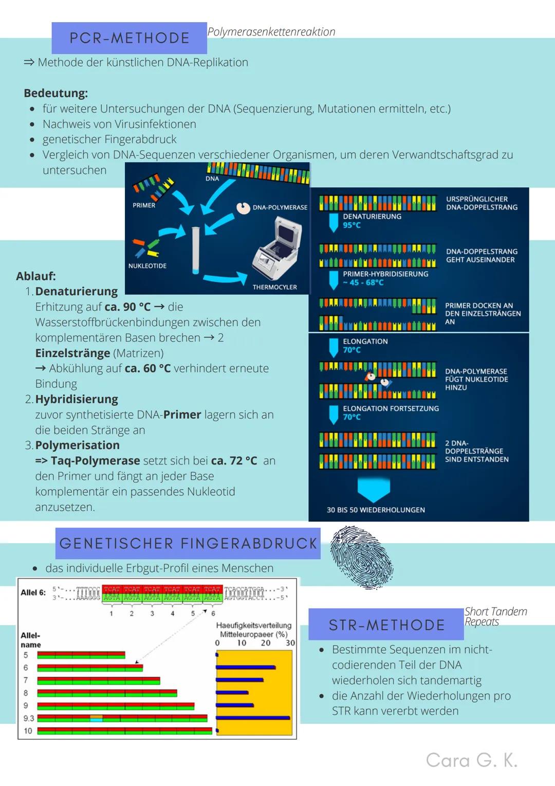 BIO-ABITUR
Zusammenfassung aller Themen
Cara G. K.
es
DA
CO2
02 INHALTSVERZEICHNIS
1. GRUNDWISSEN
• Mitochondrium
• Zellkern (Nucleus)
Chlor