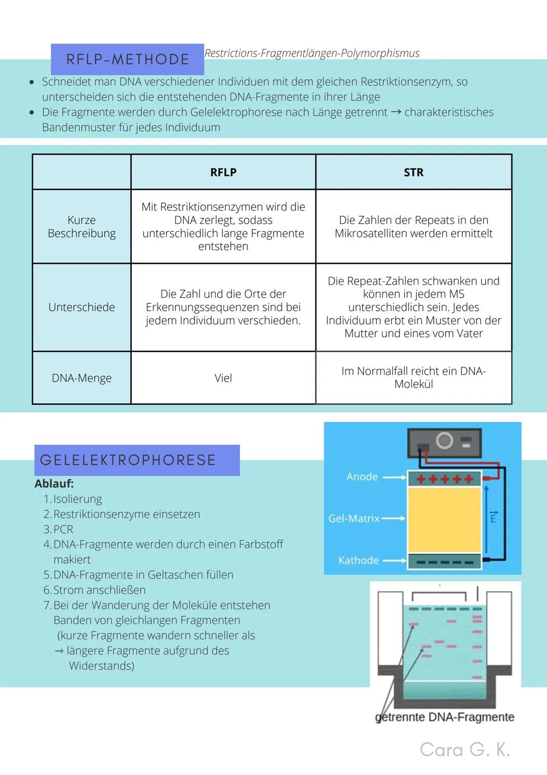 BIO-ABITUR
Zusammenfassung aller Themen
Cara G. K.
es
DA
CO2
02 INHALTSVERZEICHNIS
1. GRUNDWISSEN
• Mitochondrium
• Zellkern (Nucleus)
Chlor