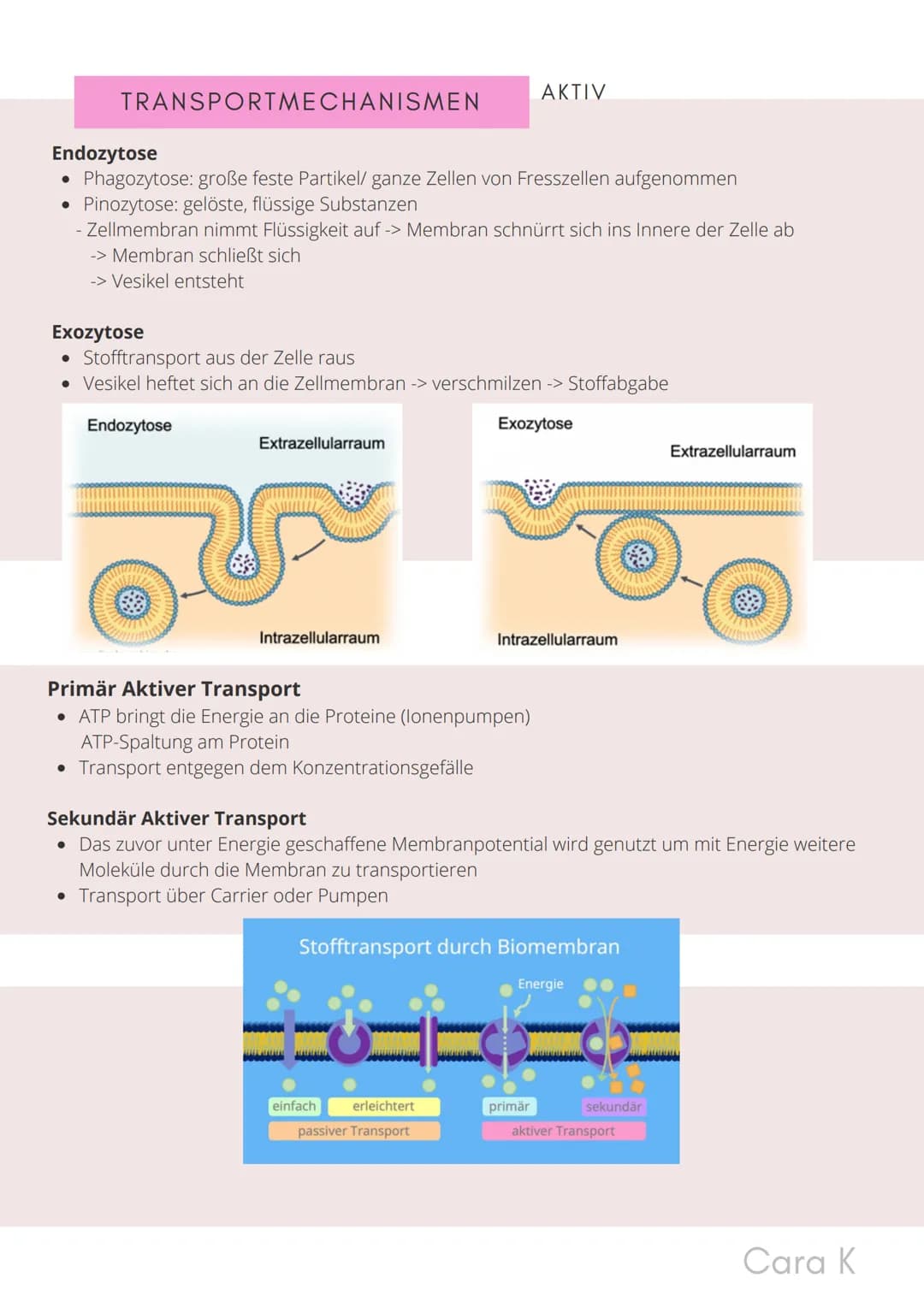 BIO-ABITUR
Zusammenfassung aller Themen
Cara G. K.
es
DA
CO2
02 INHALTSVERZEICHNIS
1. GRUNDWISSEN
• Mitochondrium
• Zellkern (Nucleus)
Chlor