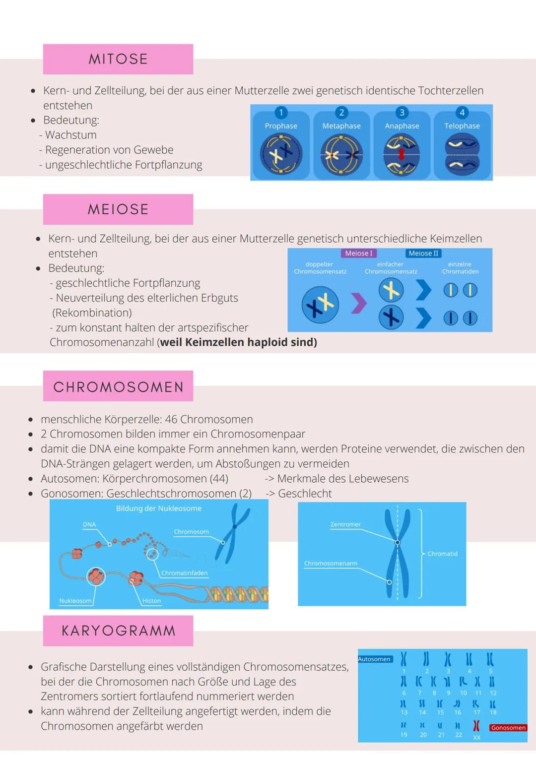 BIO-ABITUR
Zusammenfassung aller Themen
Cara G. K.
es
DA
CO2
02 INHALTSVERZEICHNIS
1. GRUNDWISSEN
• Mitochondrium
• Zellkern (Nucleus)
Chlor