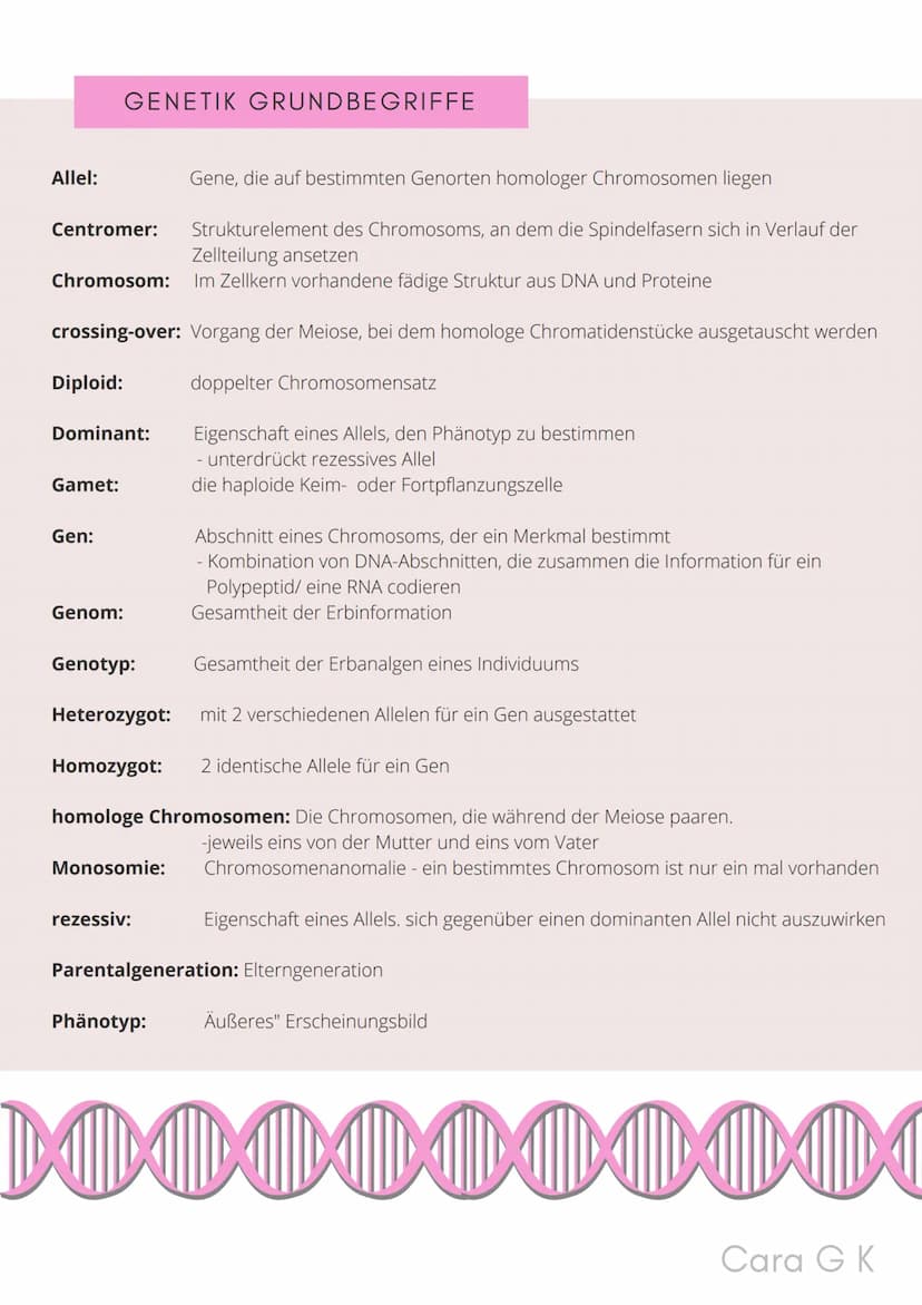 BIO-ABITUR
Zusammenfassung aller Themen
Cara G. K.
es
DA
CO2
02 INHALTSVERZEICHNIS
1. GRUNDWISSEN
• Mitochondrium
• Zellkern (Nucleus)
Chlor